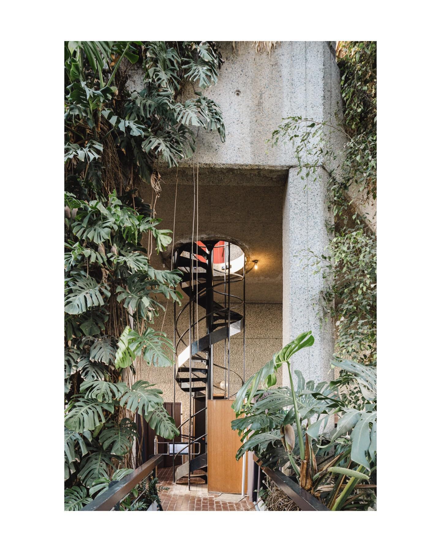 【Staircase to Honesty - Barbican Conservatory】

The Brutalist design throughout the Barbican is somewhat hidden by the lush dangling greenery in the first image, but why do we call it Brutalist?

The truth is not always enjoyable to hear and to be br