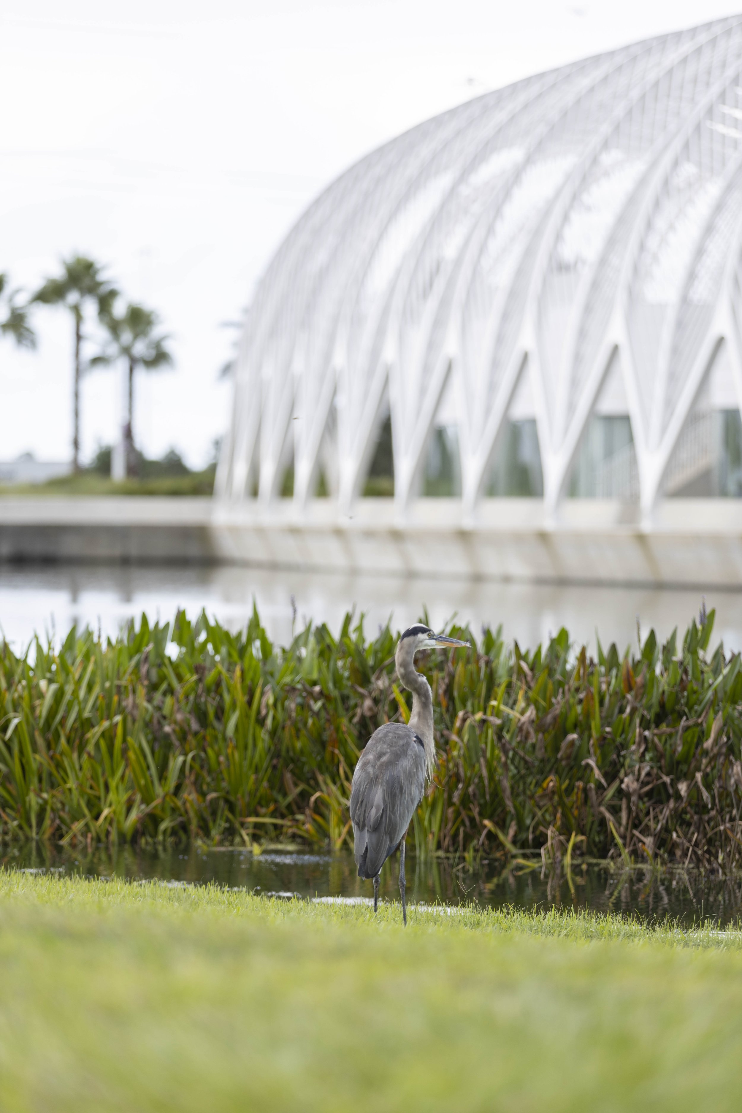 Florida-Poly-Unversity-34.jpg