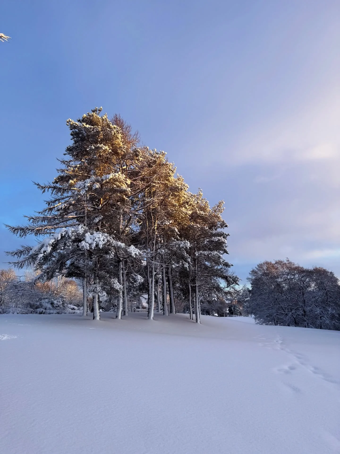 Not the return to clinic that we planned for 2026, that&rsquo;s going to have to wait a little bit longer. Some snaps from the last few days as the snows got deeper and deeper 🥶

The team are dotted around Aberdeen and Aberdeenshire and due to the a