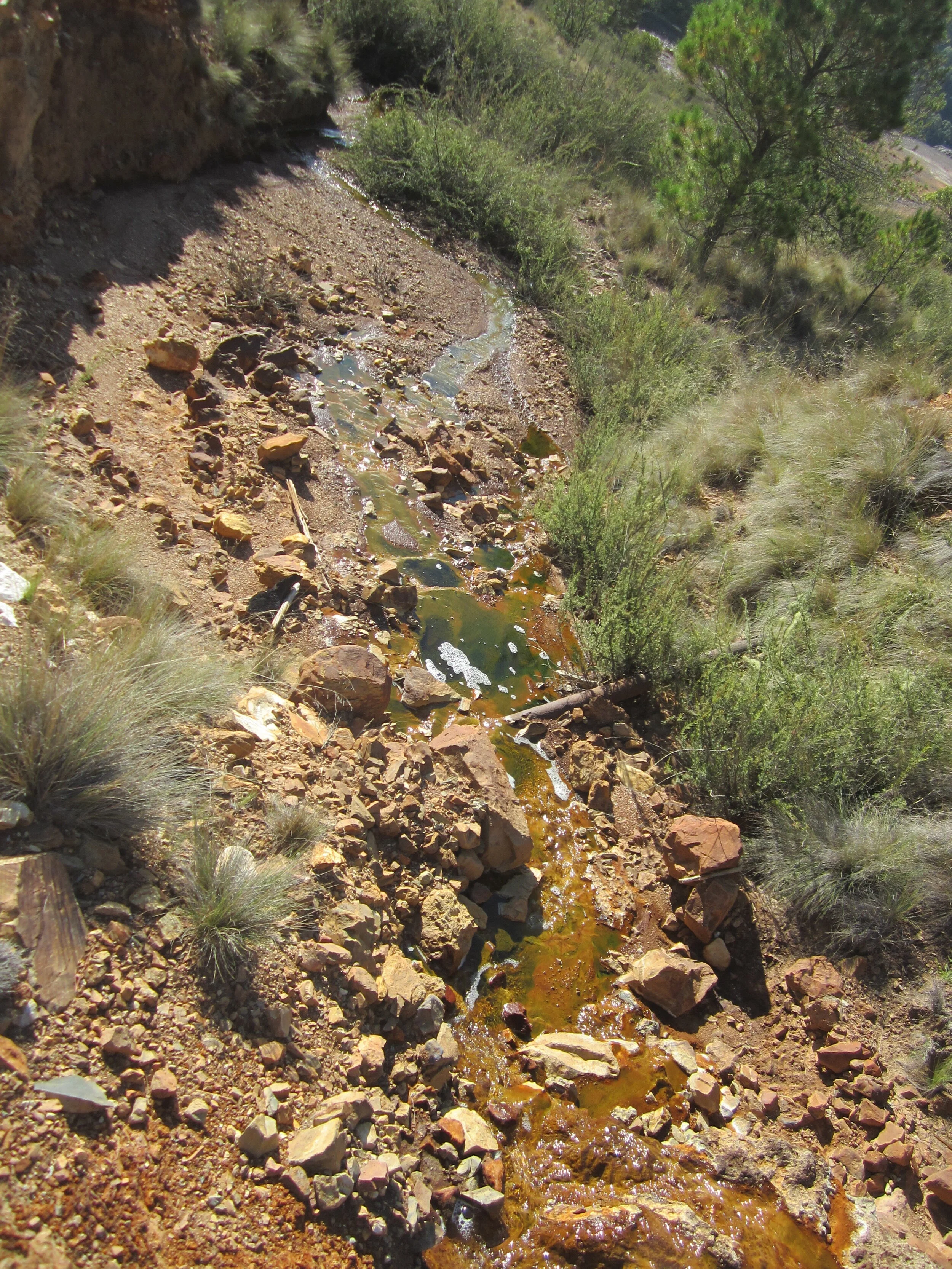 Acid mine drainage water.JPG