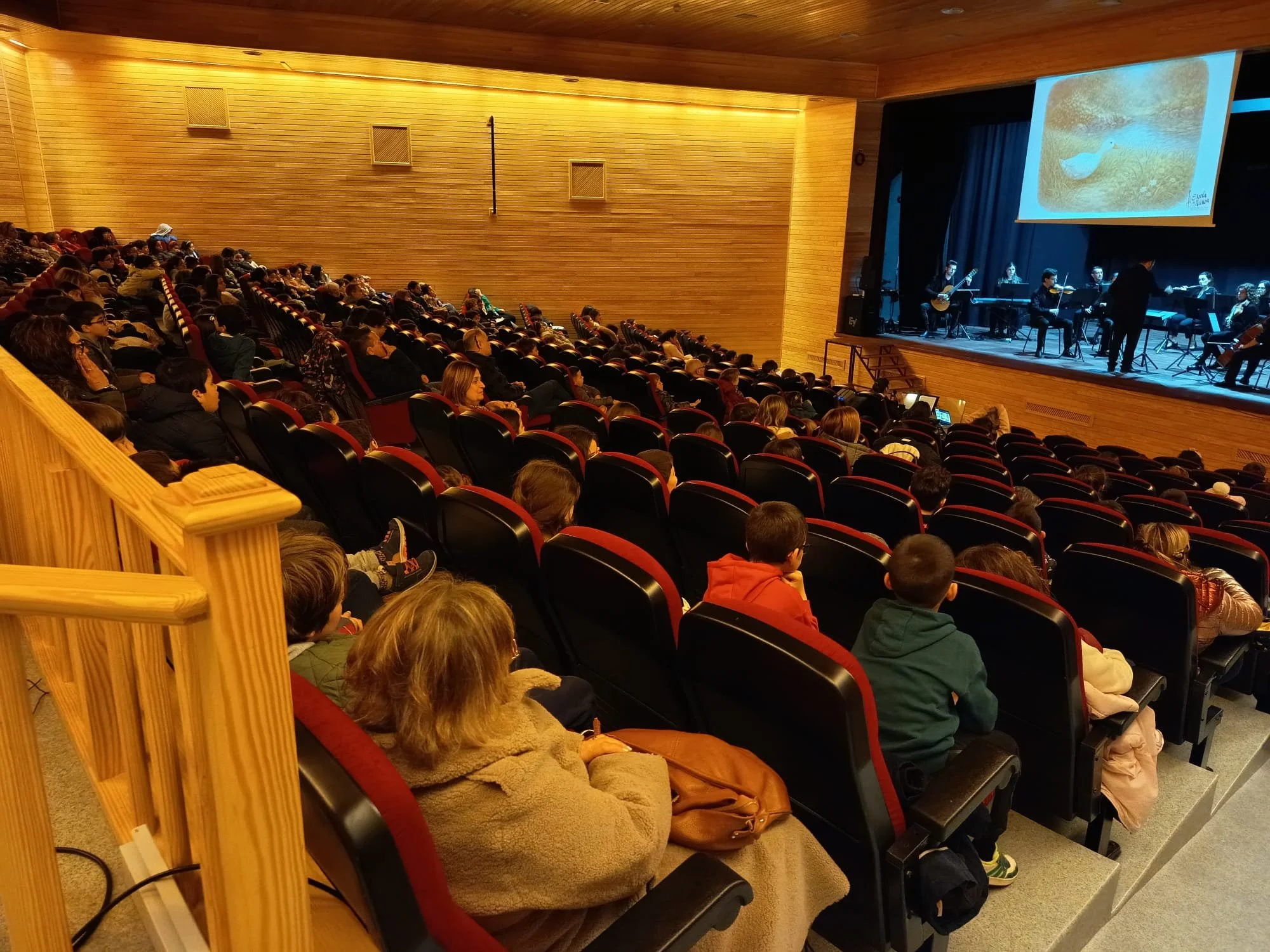 Na Descoberta do Som - Concerto Didático “Pedro e o Lobo”
