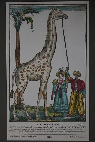 La girafe de Charles X, Paris, circa 1827