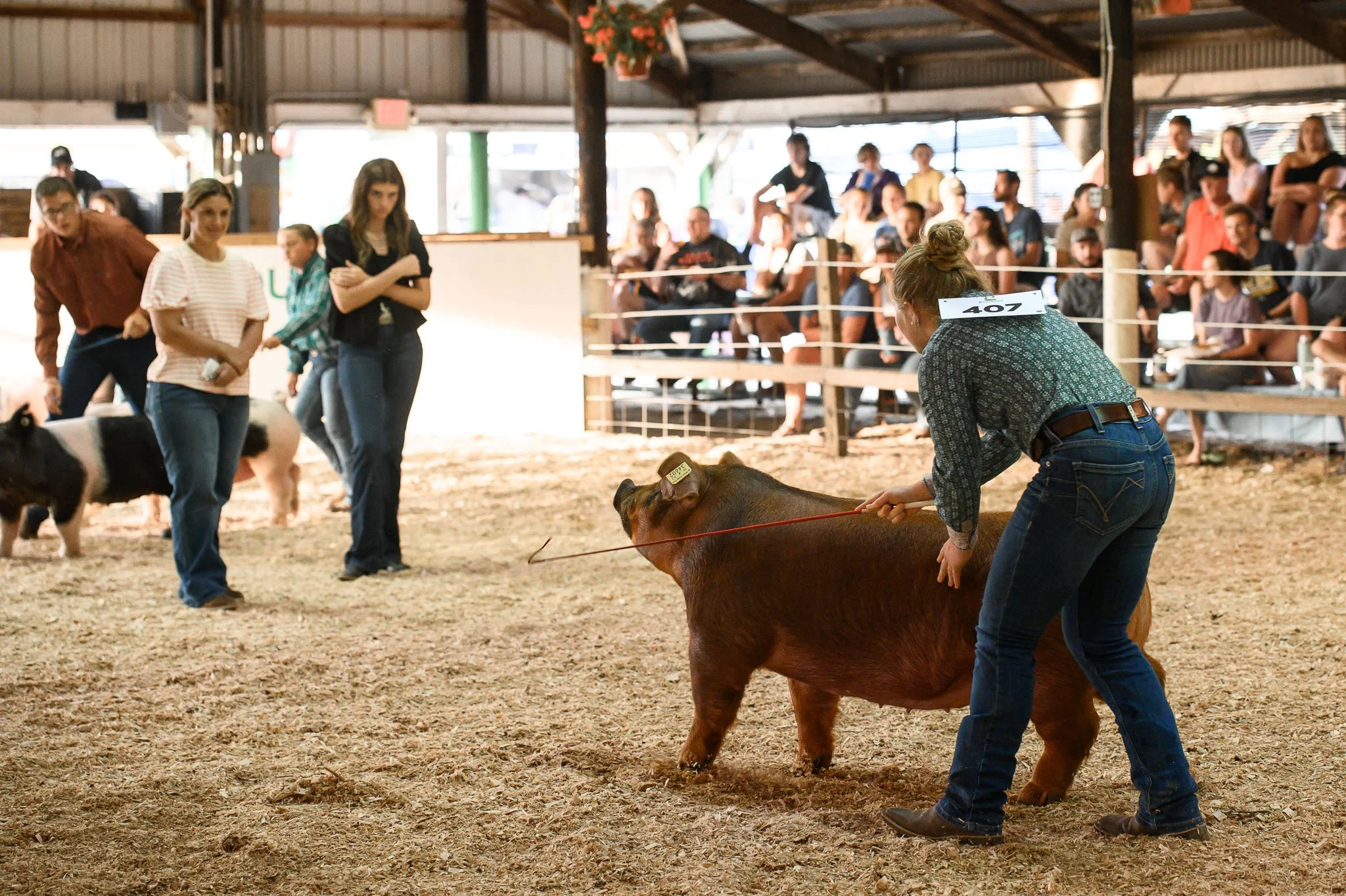 Miami-County-Fair-Royal-Showmanship-2025_SPS8401.jpg