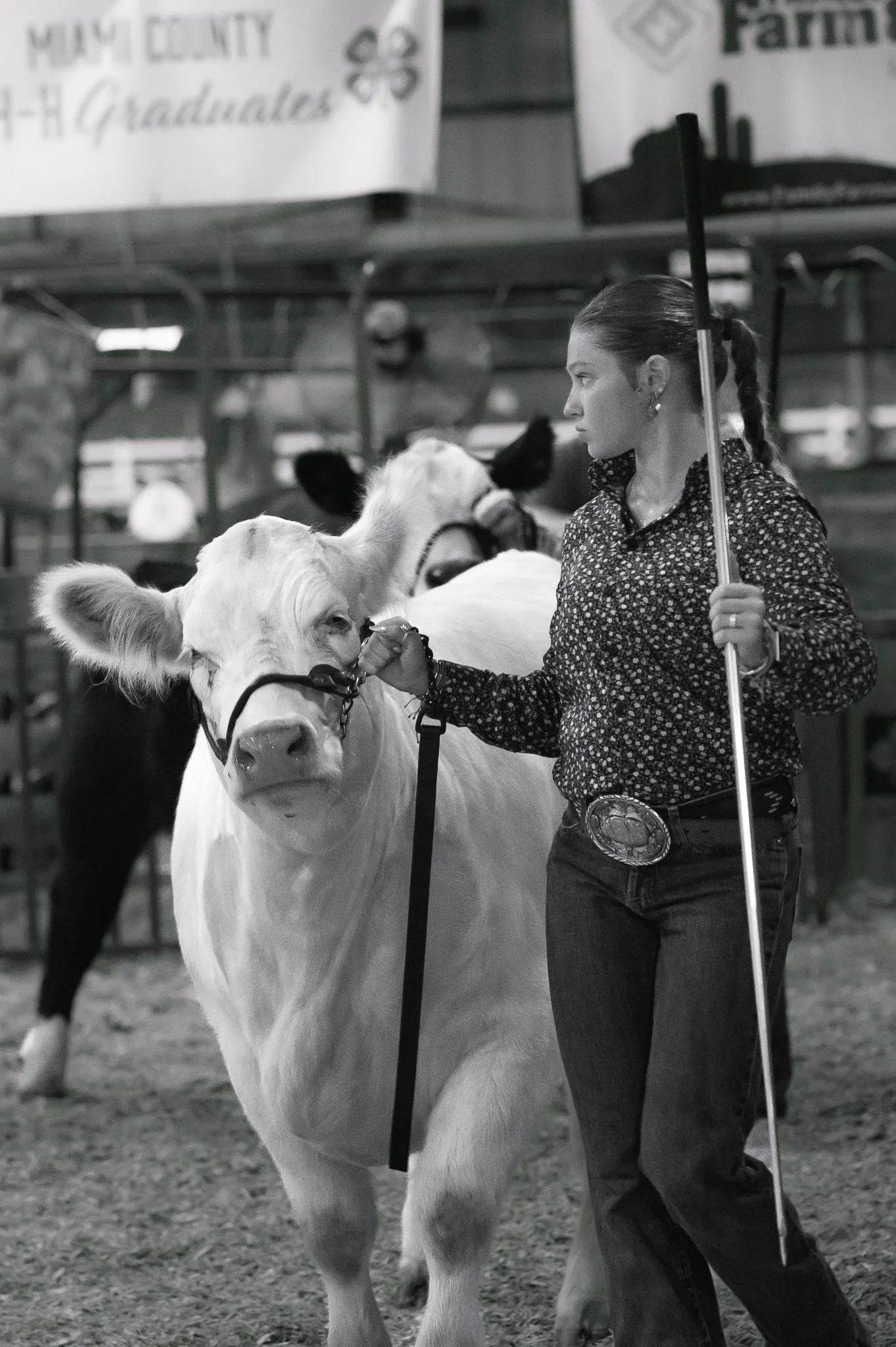 Miami-County-Fair-Royal-Showmanship-2025_SPS8553.jpg