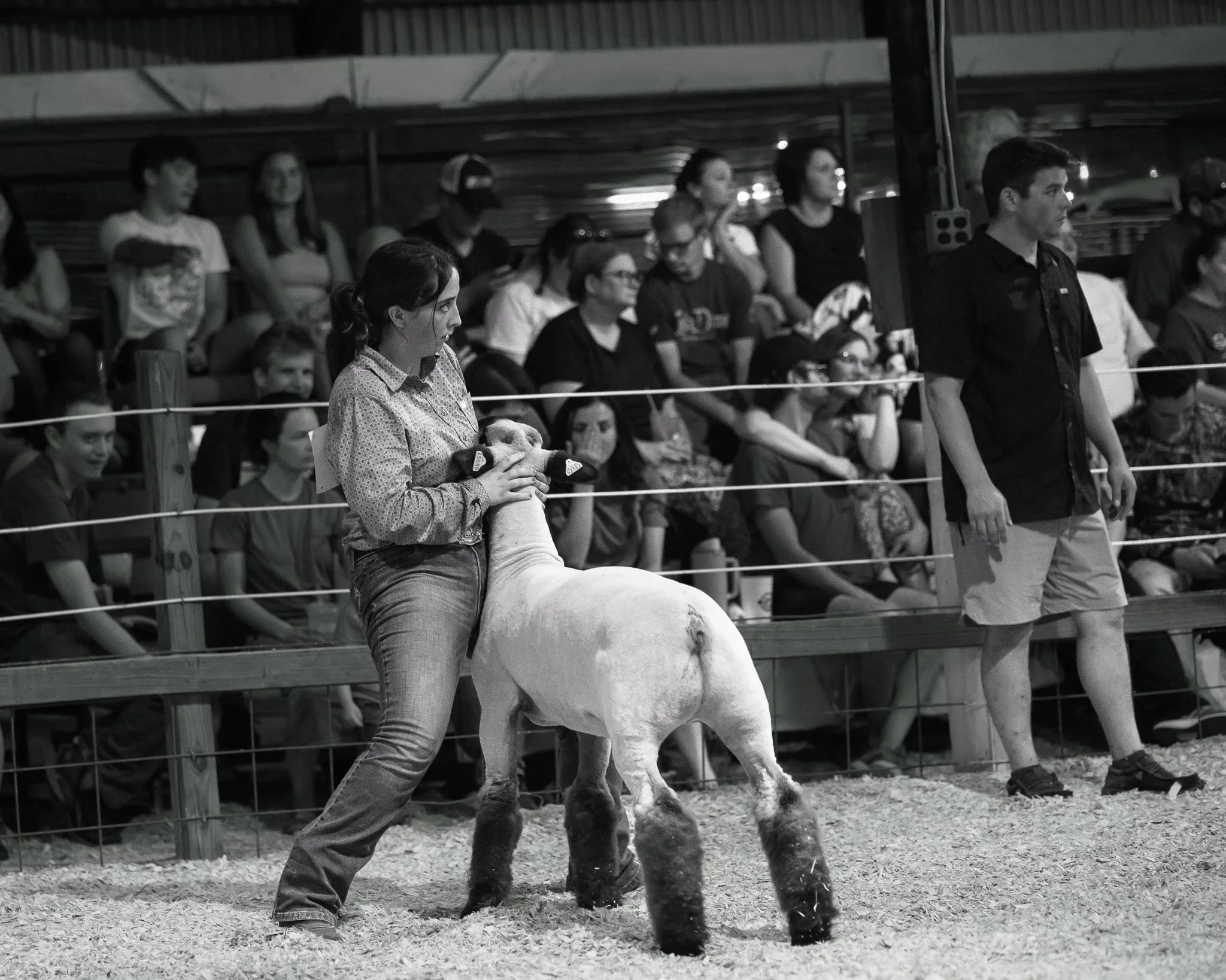Miami-County-Fair-Royal-Showmanship-2025_SPS8604.jpg