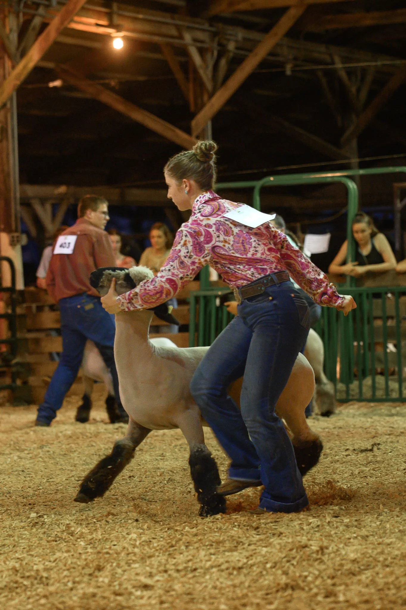 Miami-County-Fair-Royal-Showmanship-2025_SPS8605.jpg