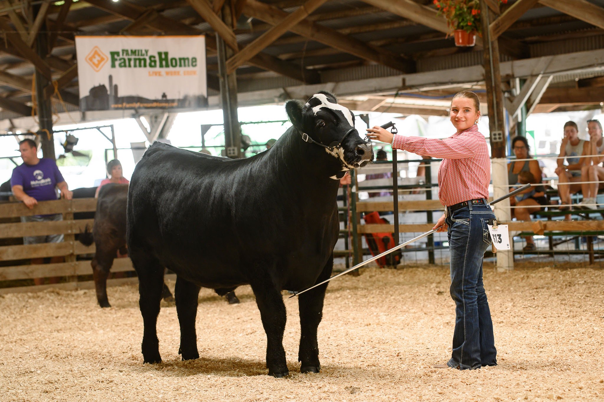 Beef Show
