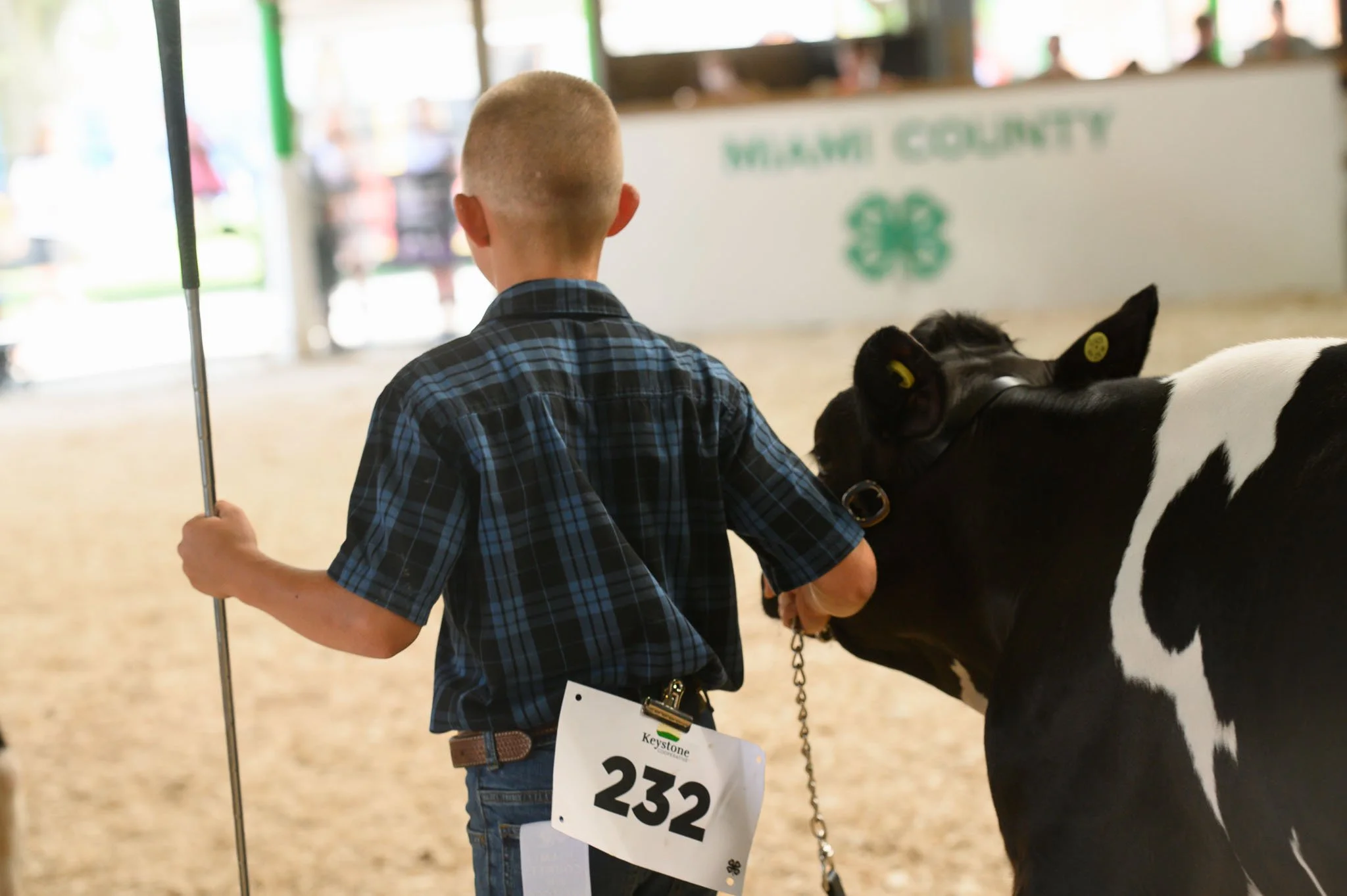 Dairy Show