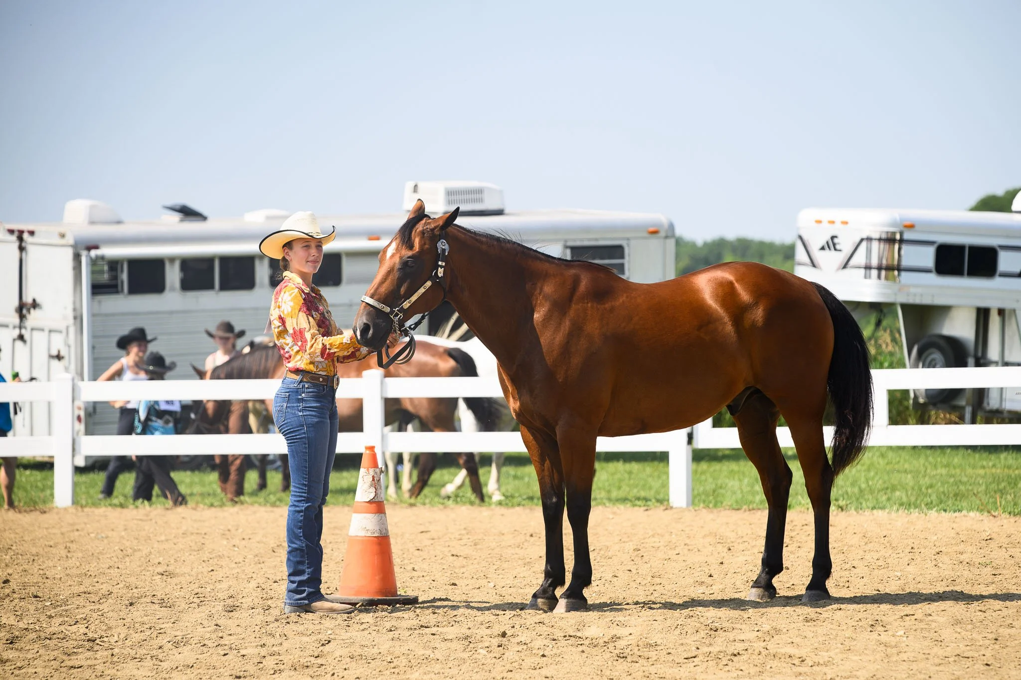 Horse Show