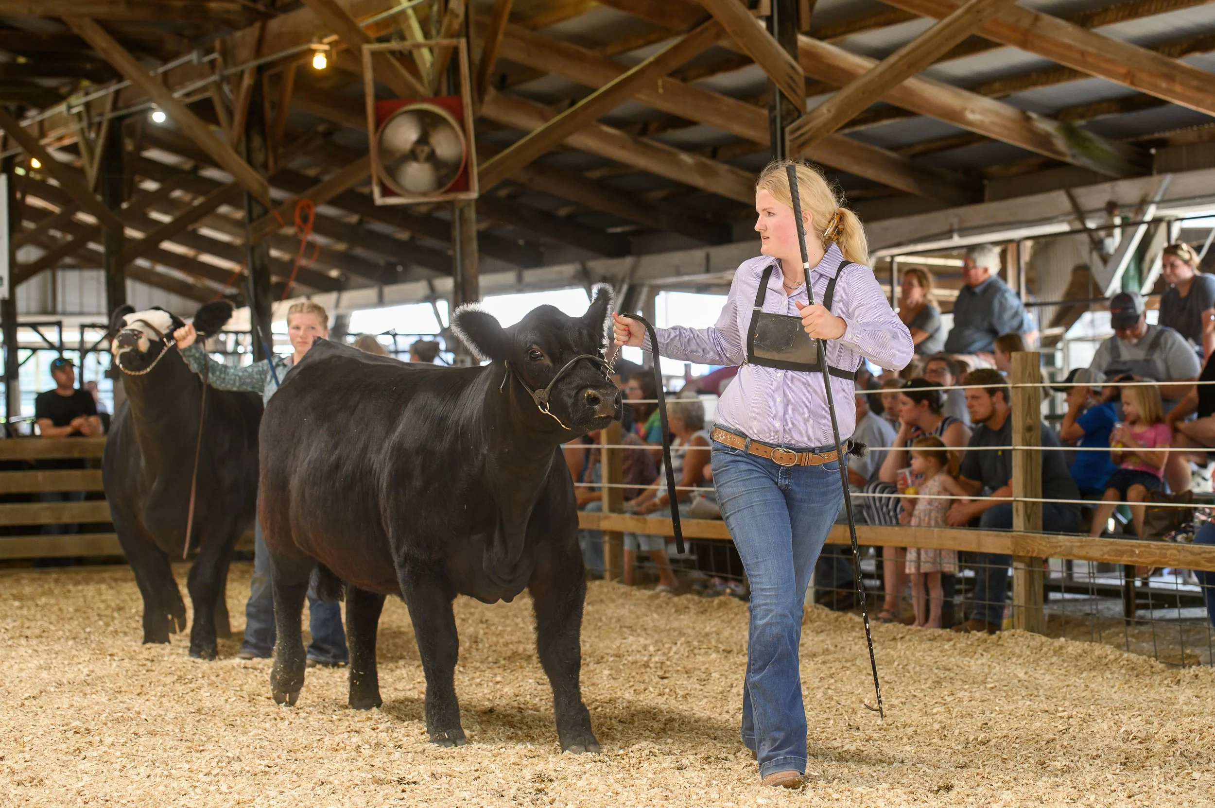 Miami County Indiana 4-H Fair Peru IN Fairgrounds — Miami County ...