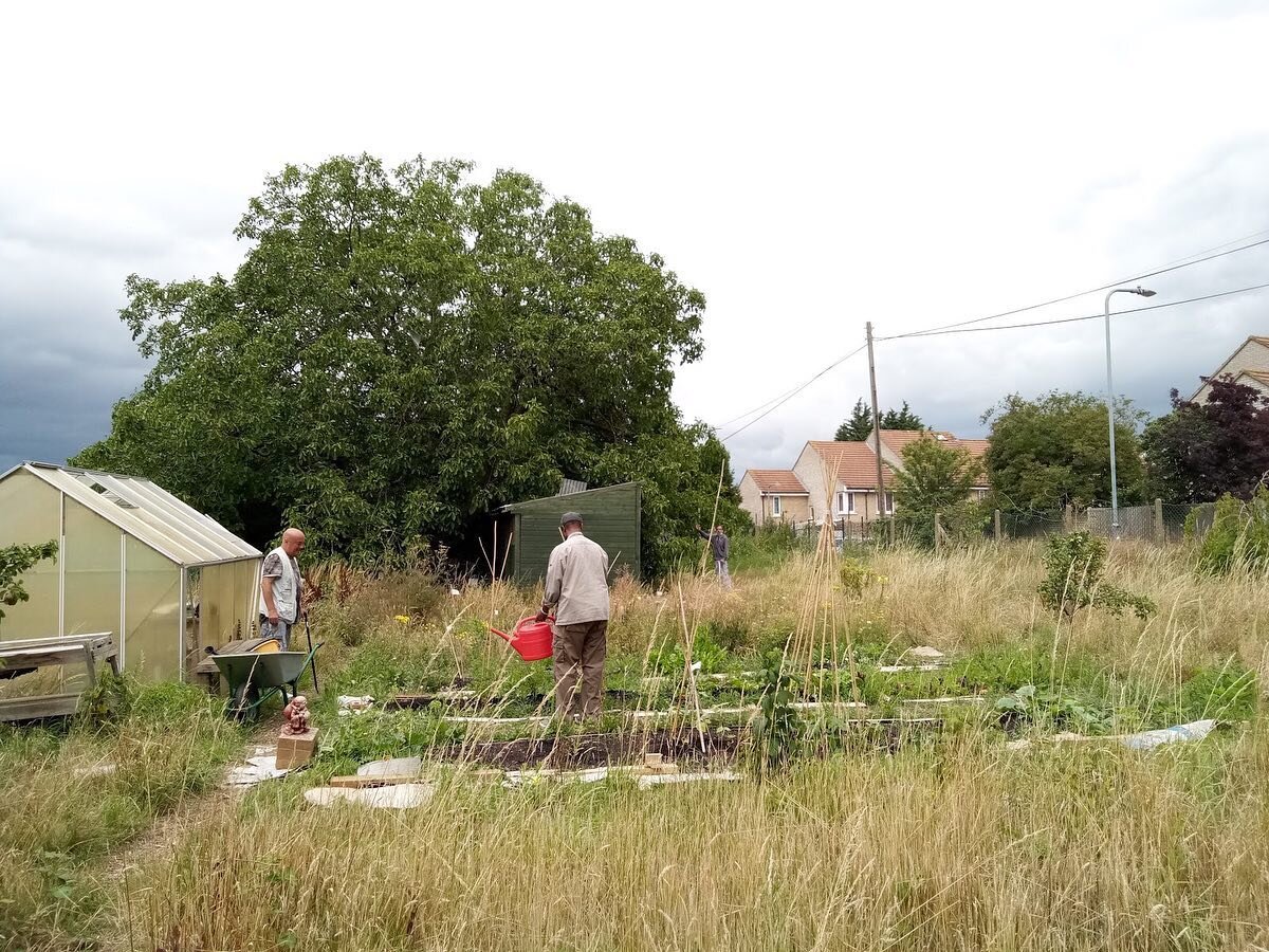 This picture is from our GreenHouse Project in Redbridge Allotment where our clients are getting their gardening on!