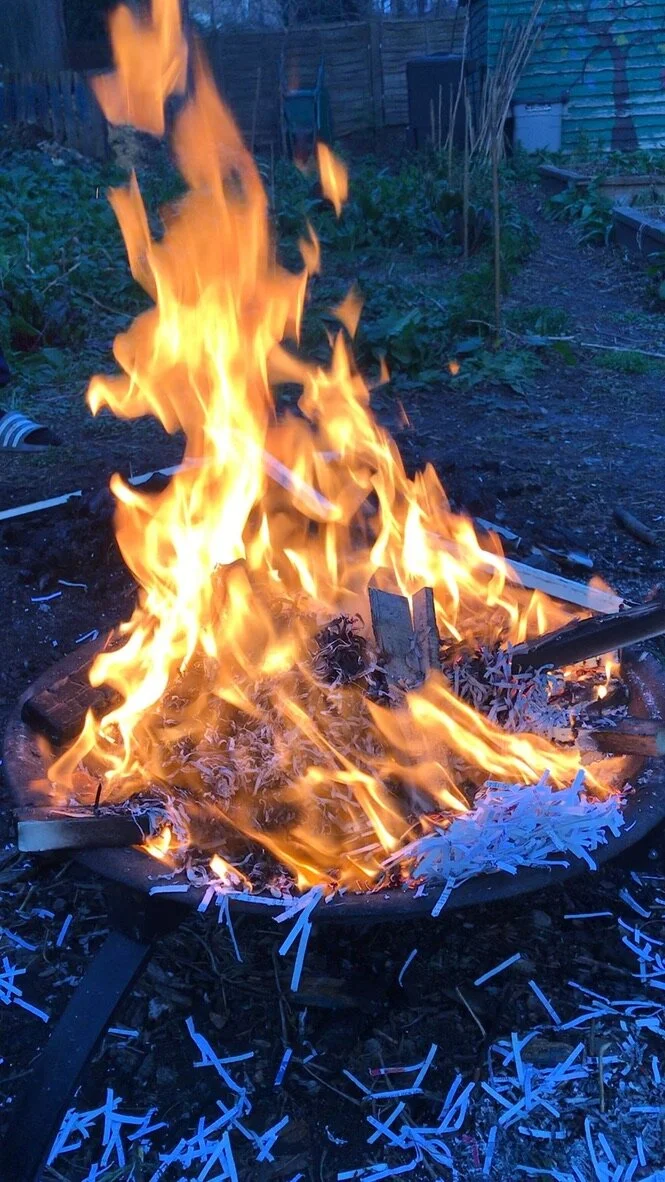 Insight Into The Connection Between Nature and Wellbeing From Georgie + Matthew of Team ROC