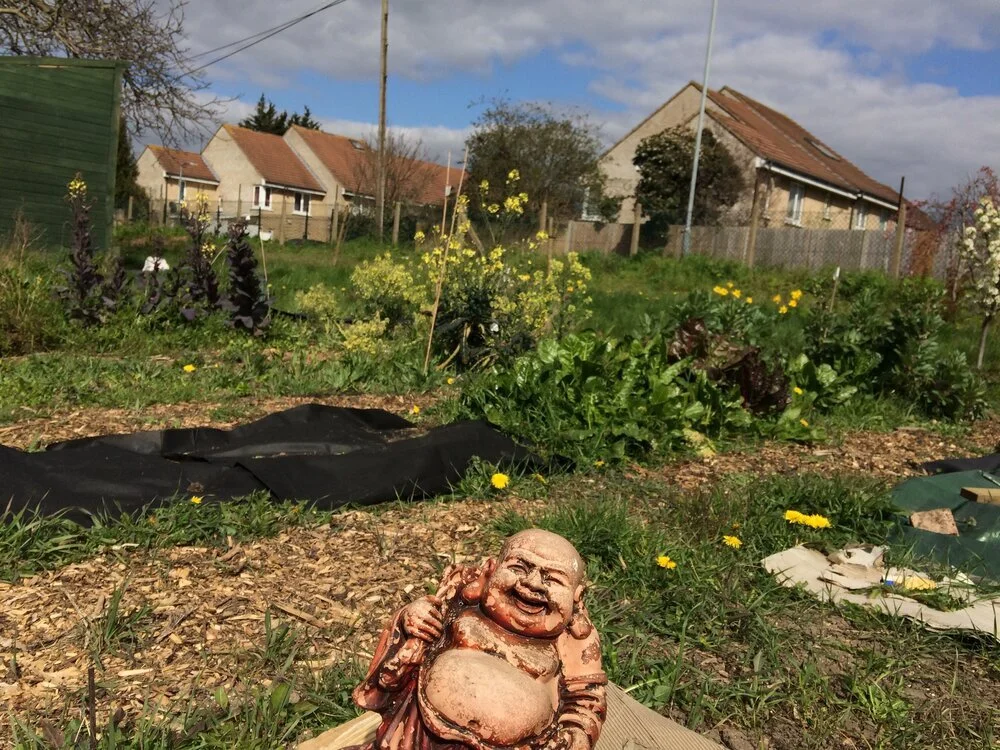 Why You Should Spend Time In Green-Spaces and Where You Can Enjoy Them In London