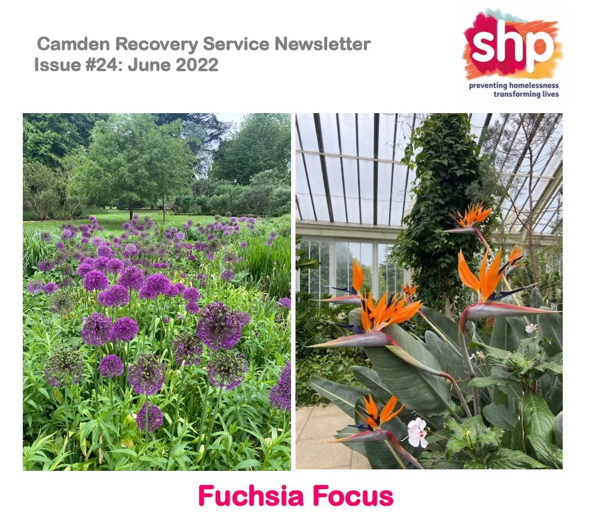 Camden Recovery, Aftercare and ETE Services Newsletter - June 2022