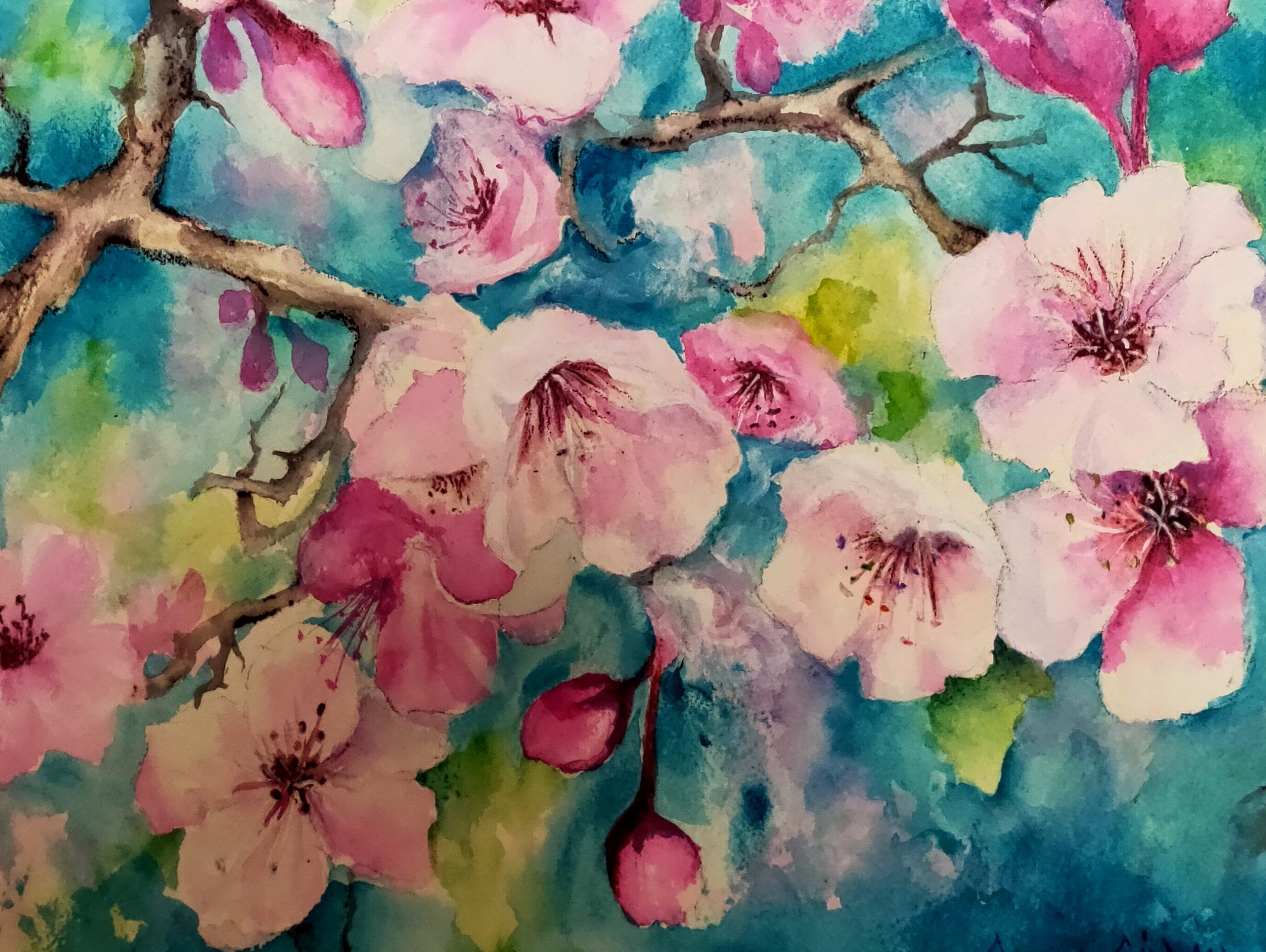 Sakura crop.jpg
