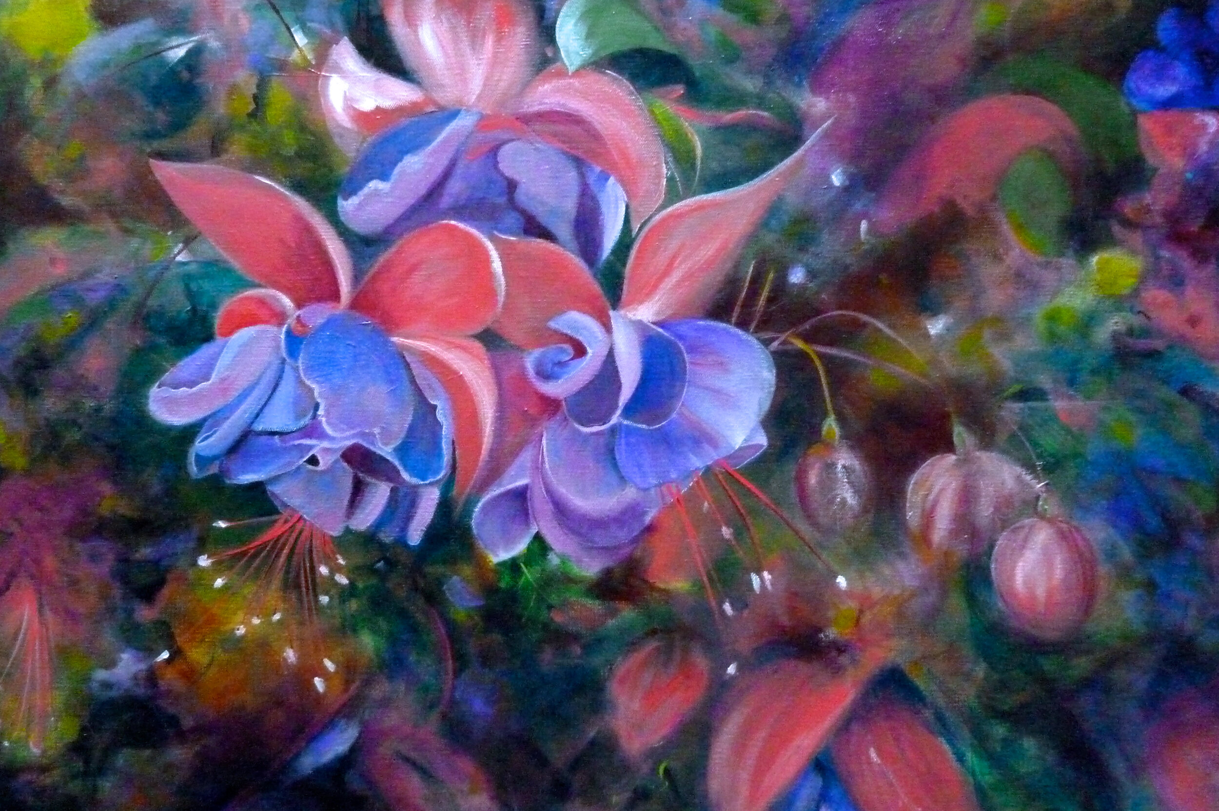 Fushia large.jpg