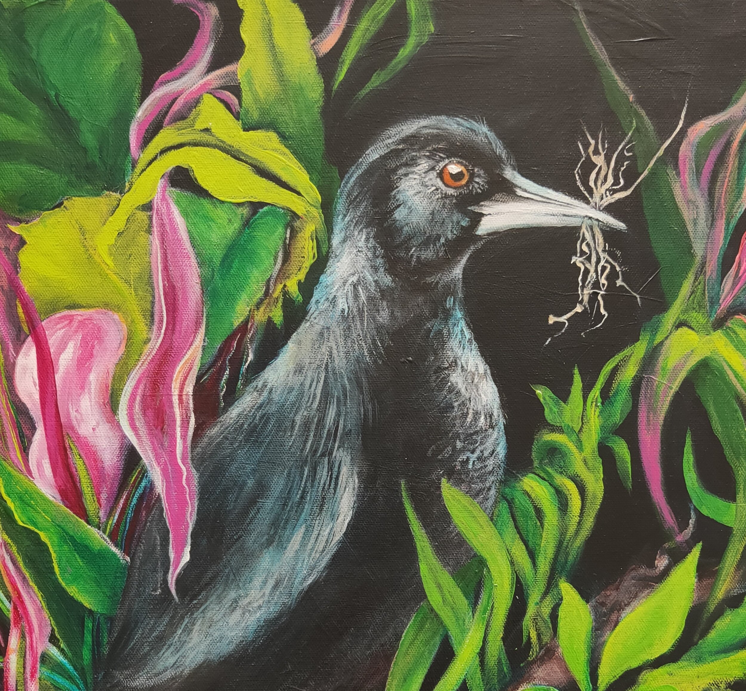 Magpie crop.jpg