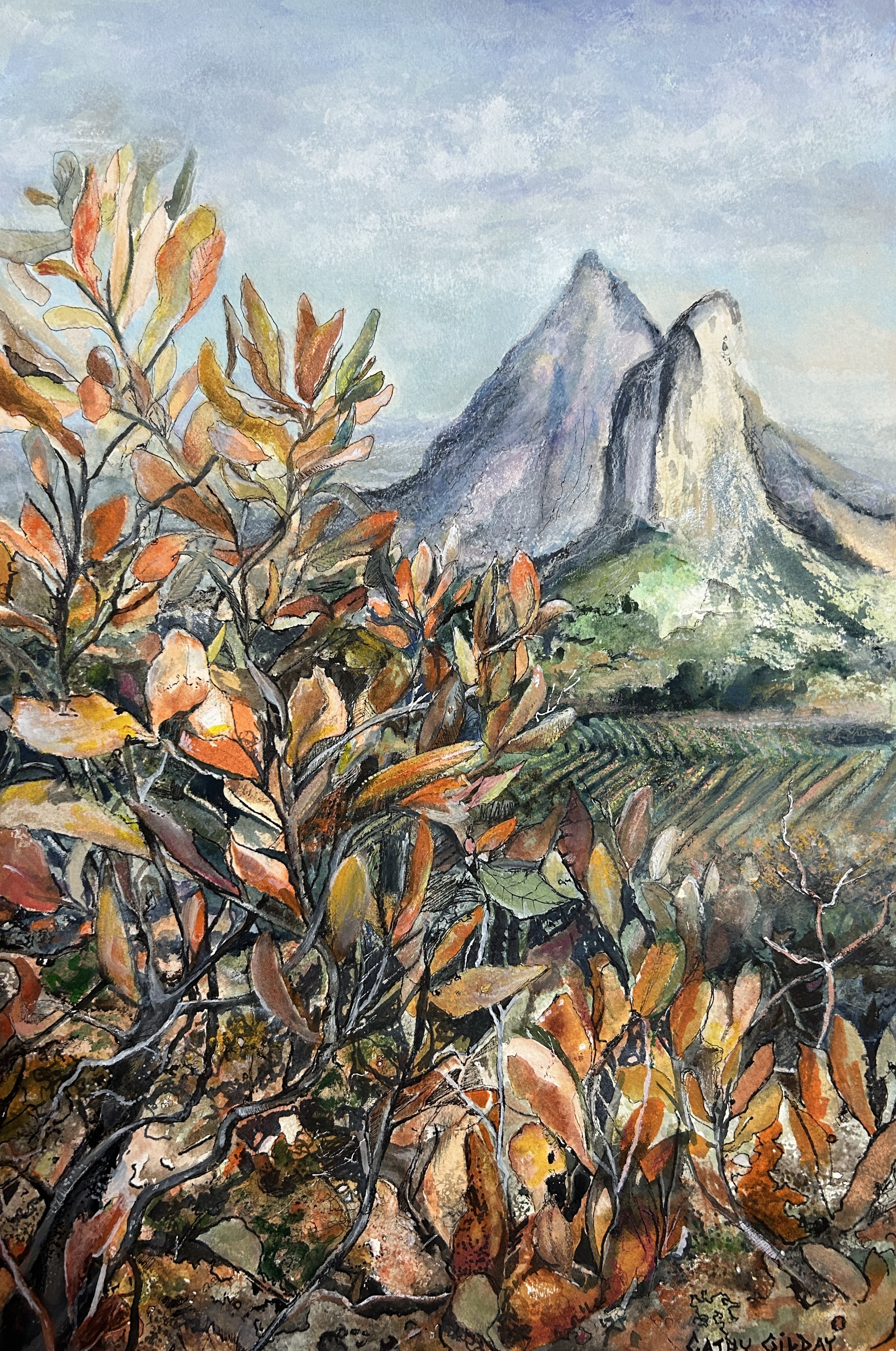 Glass House Mountains.jpg