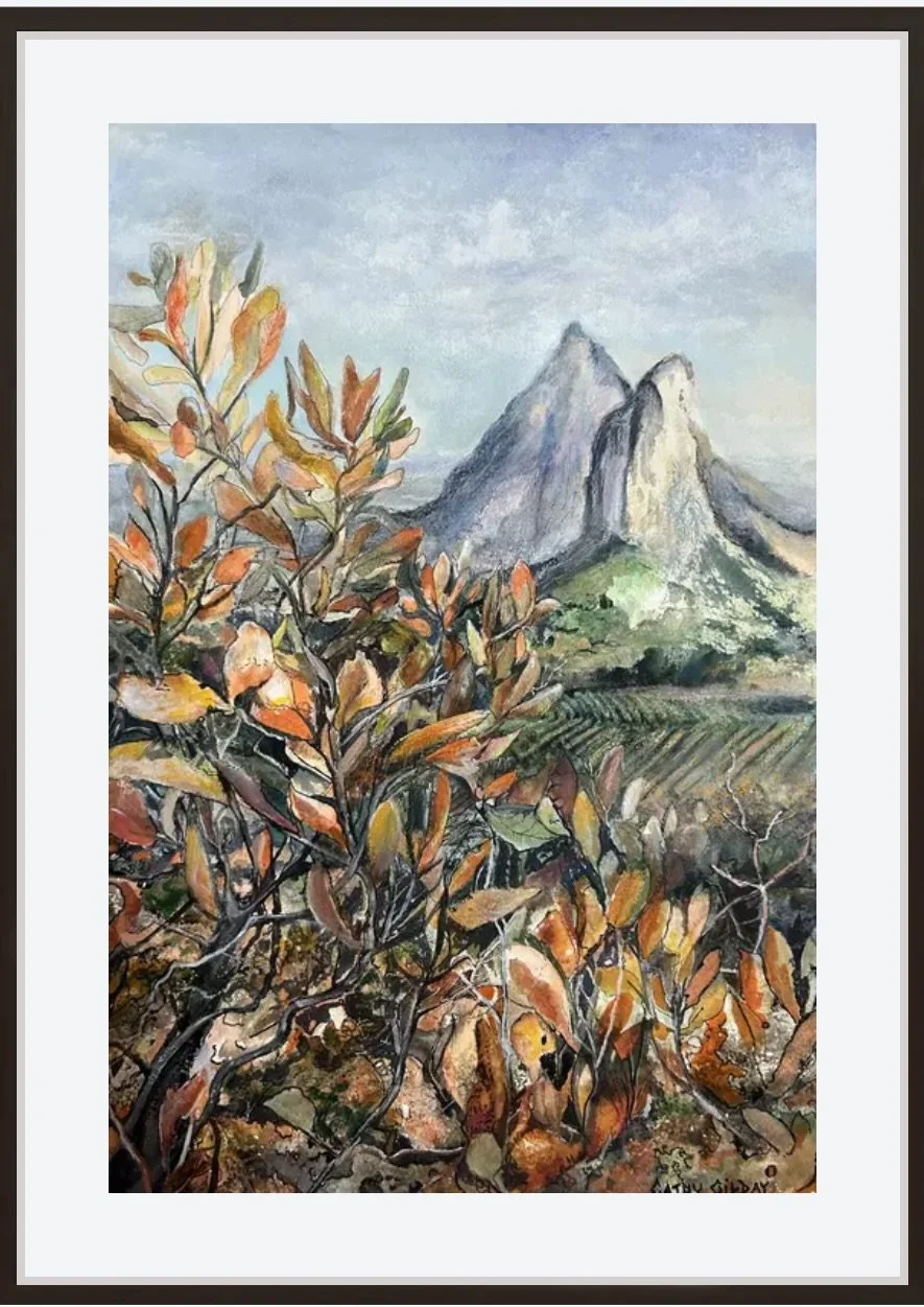 Screenshot 2025-12-18 at 9.57.49 am.jpeg