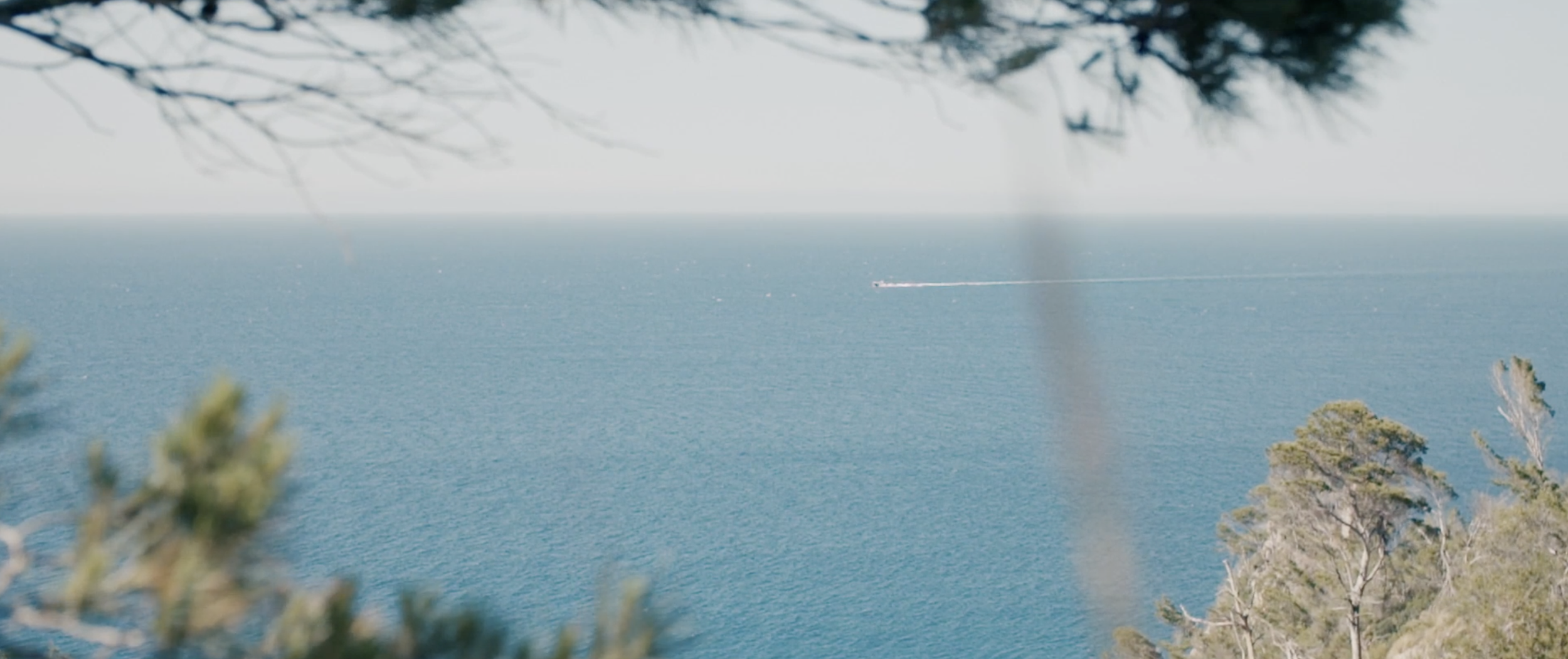 Screenshot 2026-01-09 at 23.38.59.png