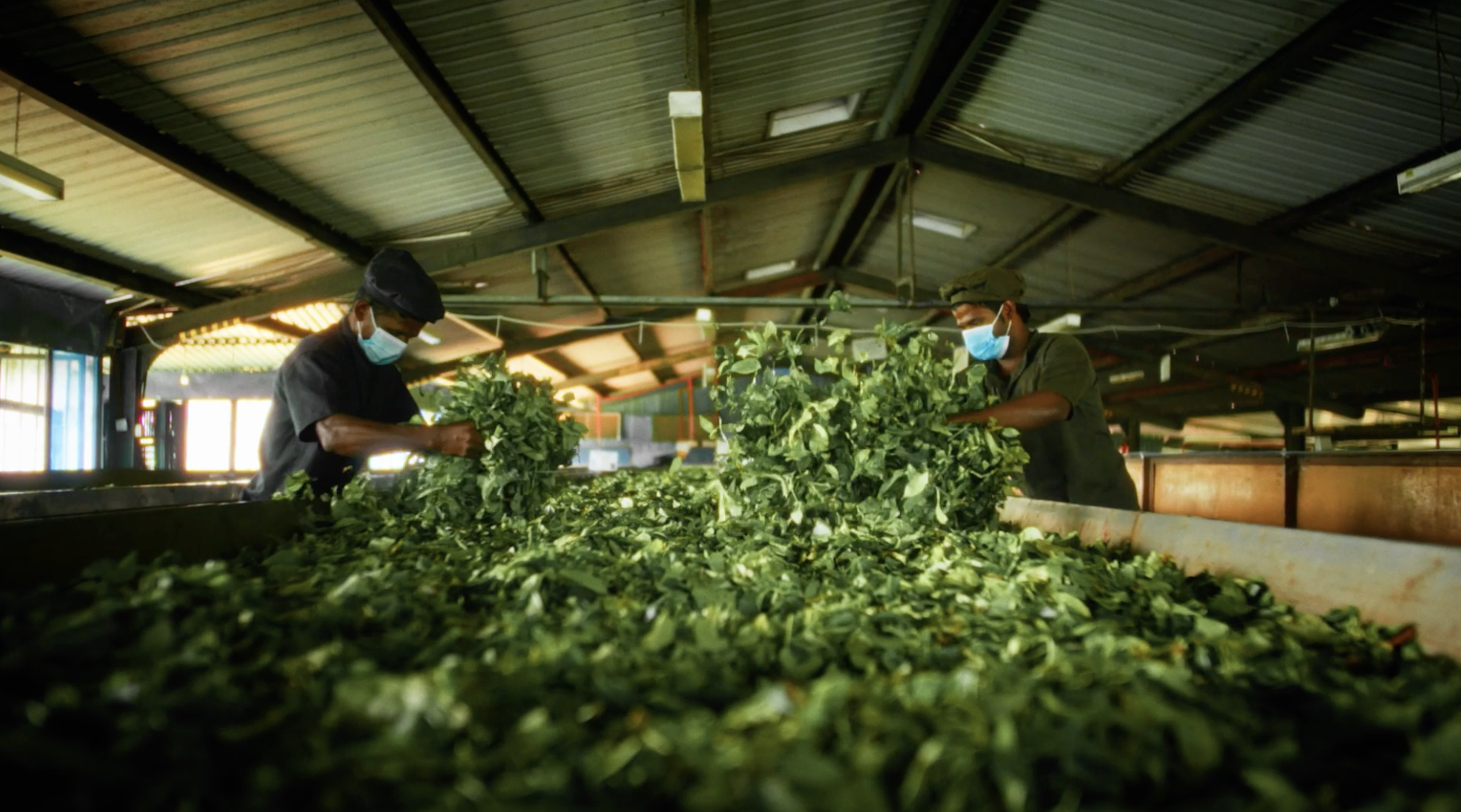 Screenshot 2026-01-08 at 20.29.45.png