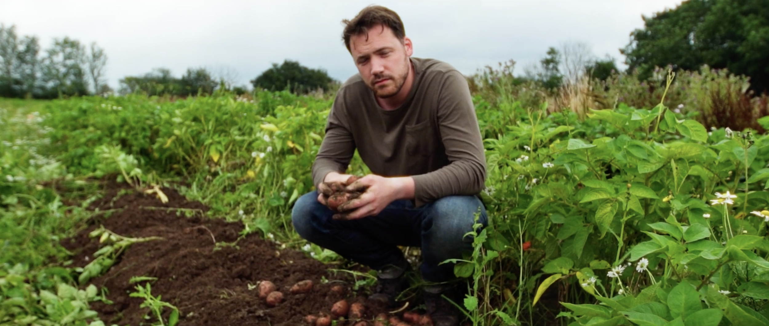 Homegrown Frames61.png