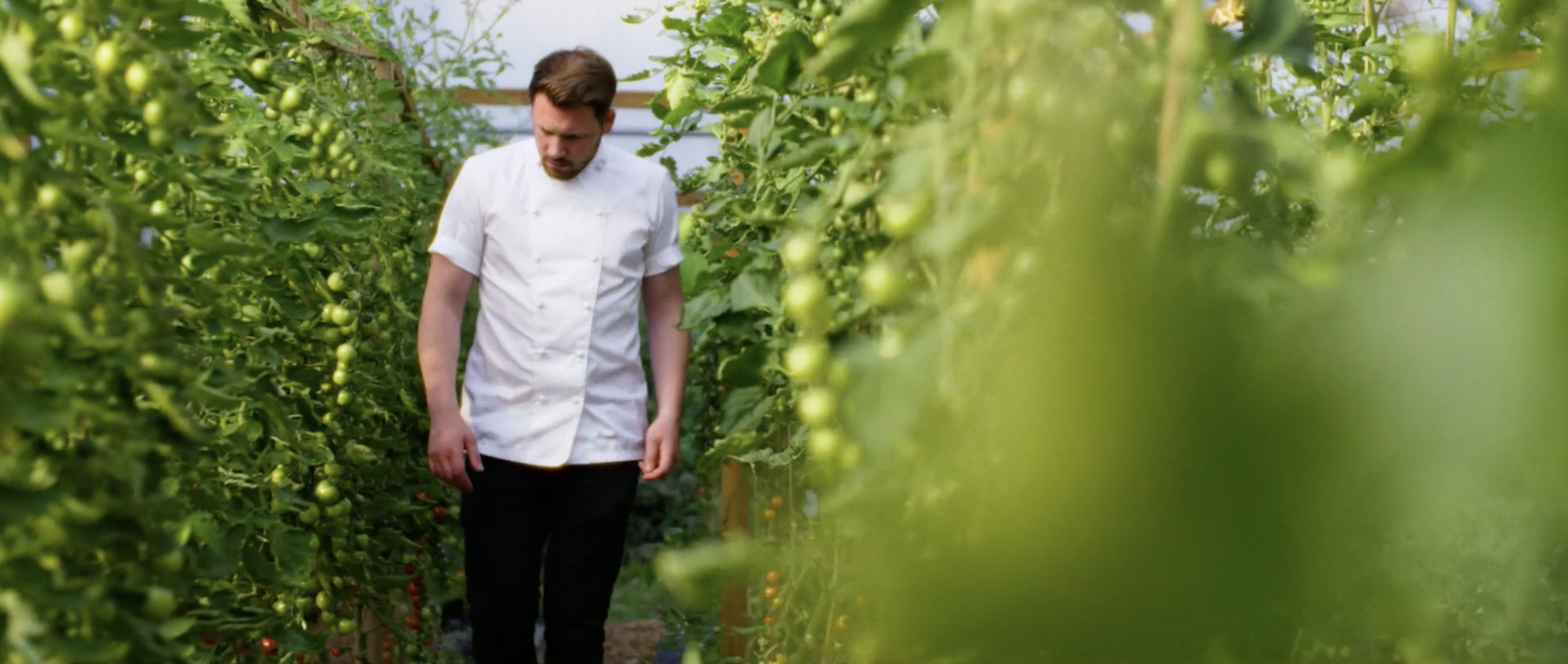 Homegrown Frames19.png