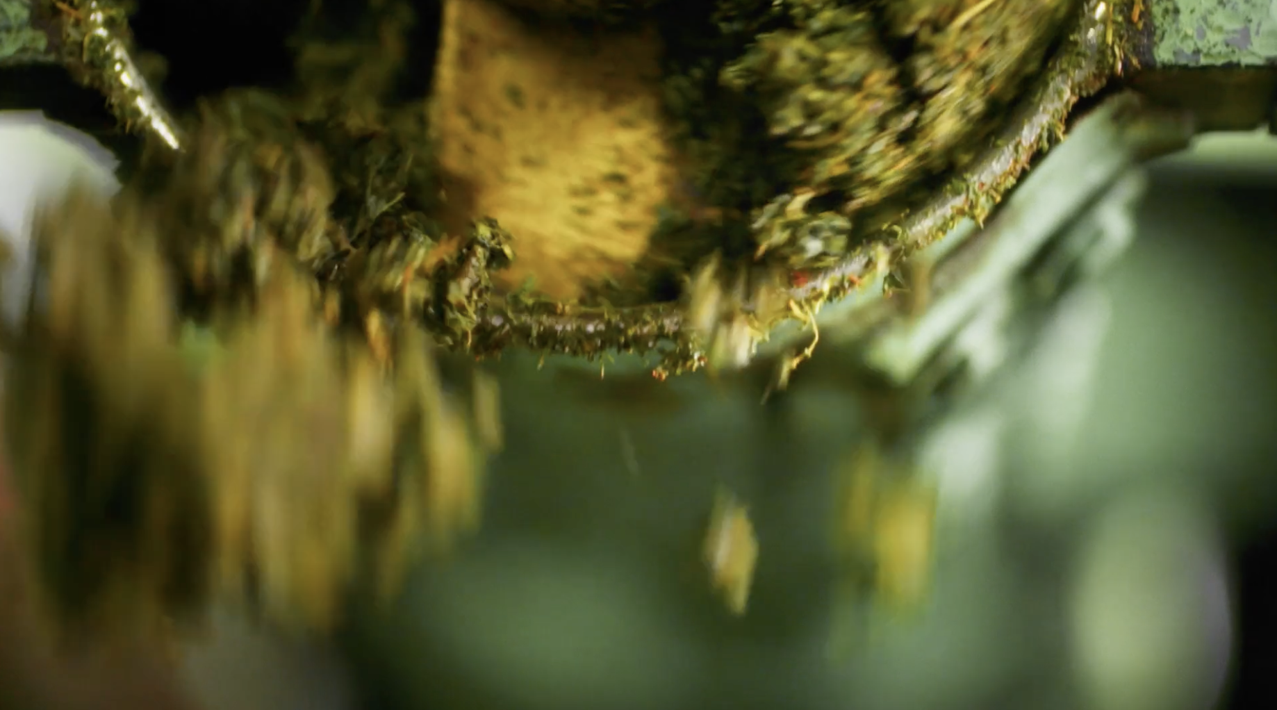 Screenshot 2026-01-08 at 20.41.01.png