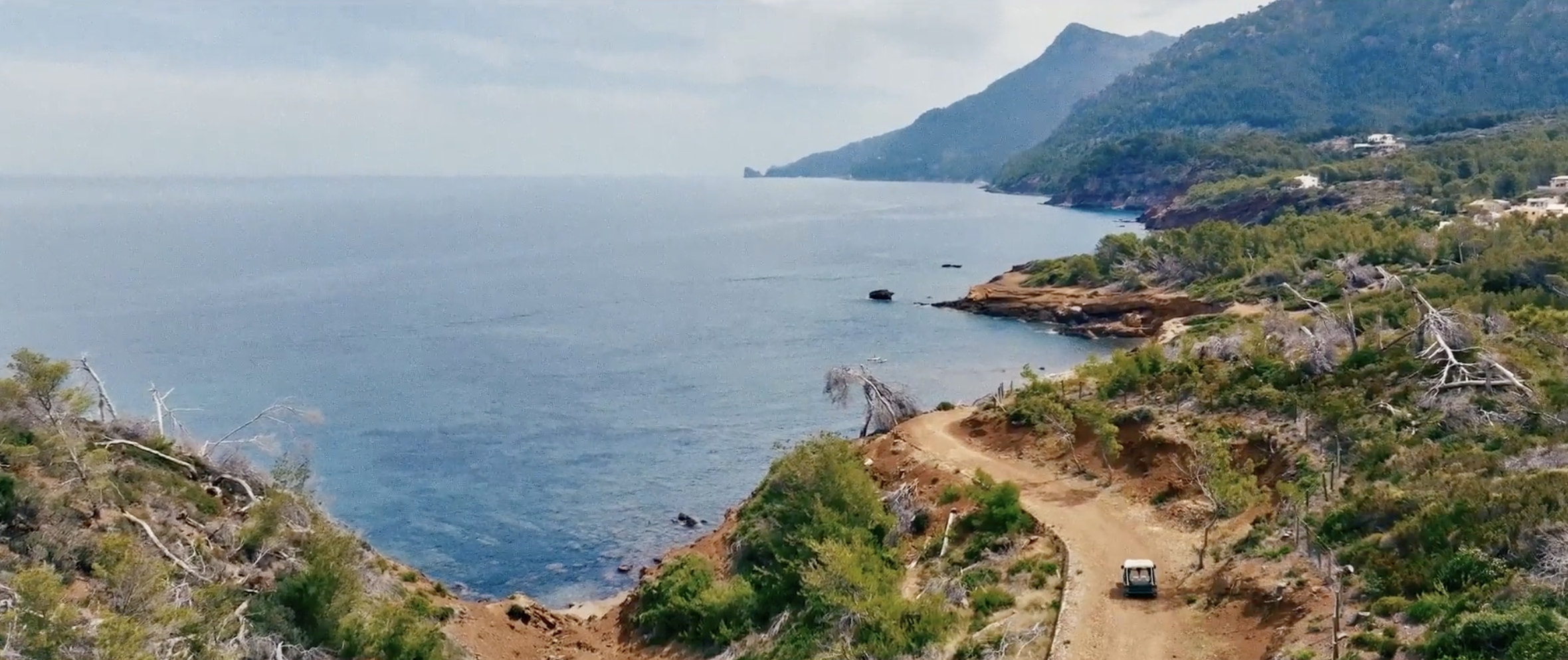 Virgin Limited Edition