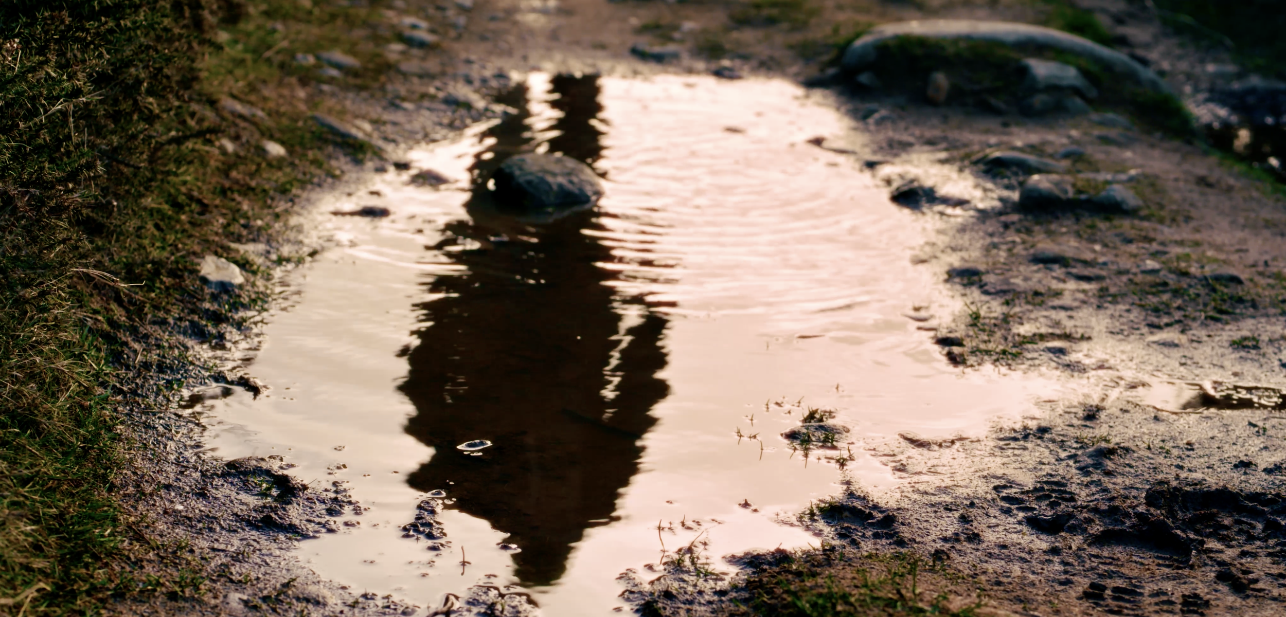 Screenshot 2025-12-28 at 15.52.36.png