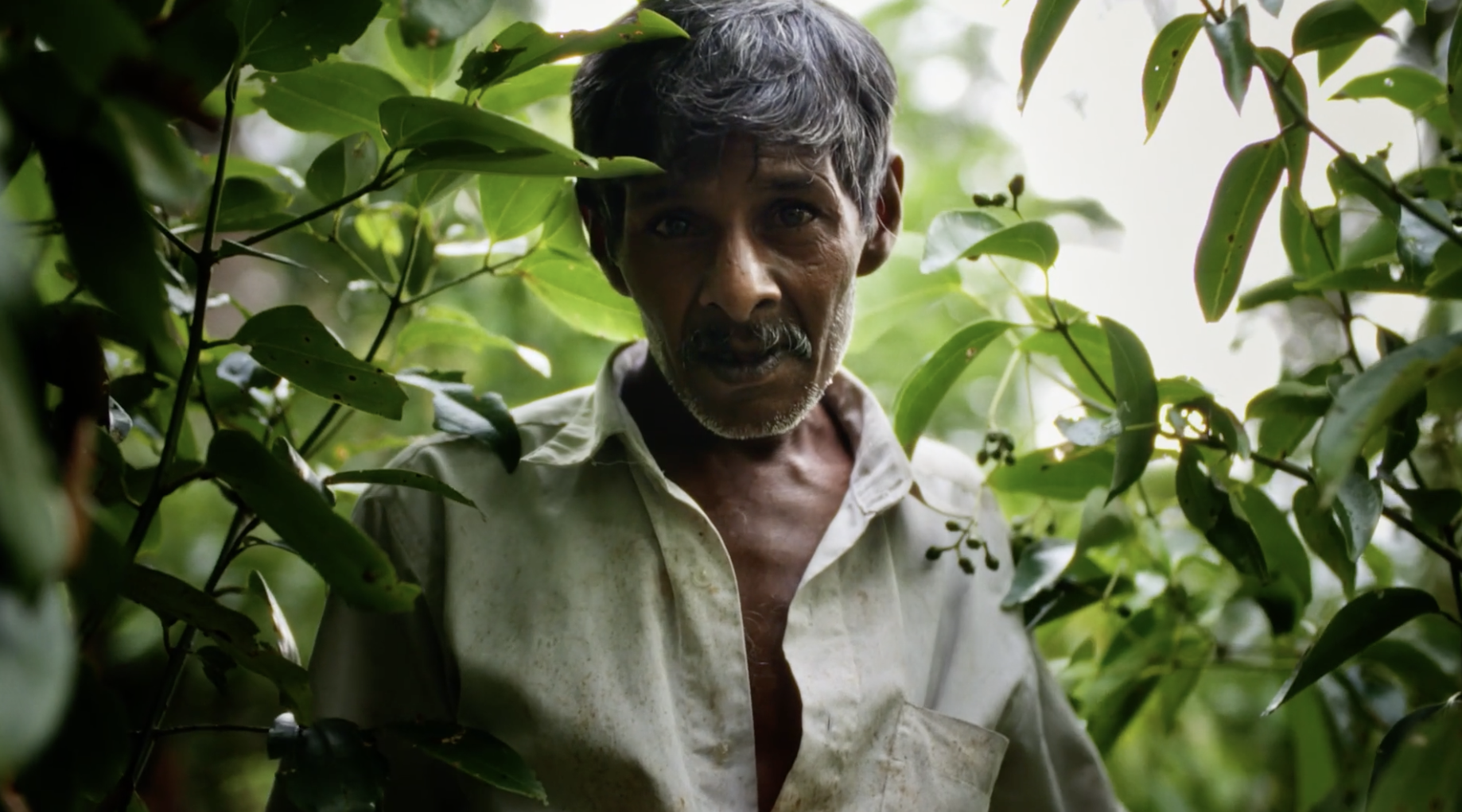 Screenshot 2026-01-08 at 20.27.15.png