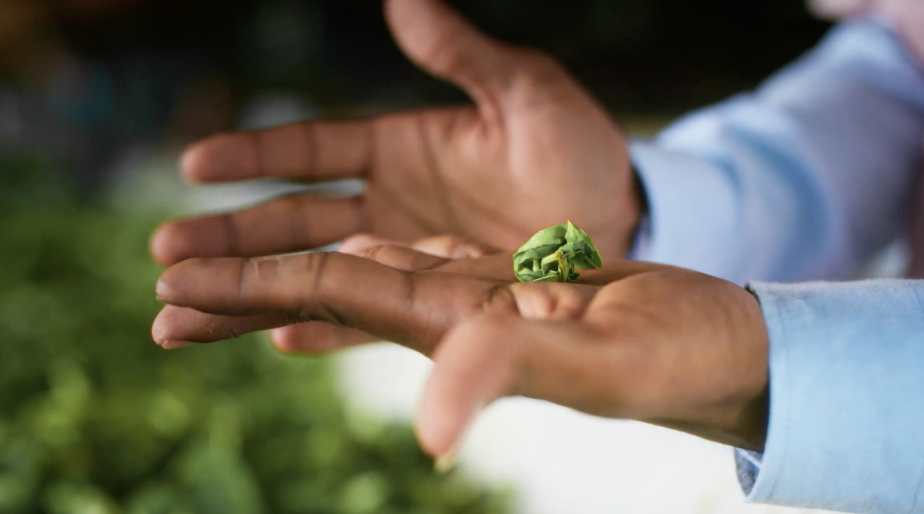 Screenshot 2026-01-08 at 20.30.01.png