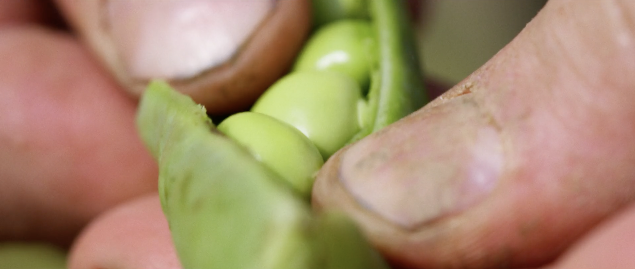 Homegrown Frames57.png