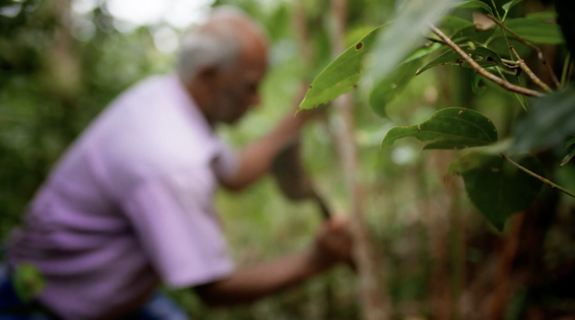 Screenshot 2026-01-08 at 20.28.30.png