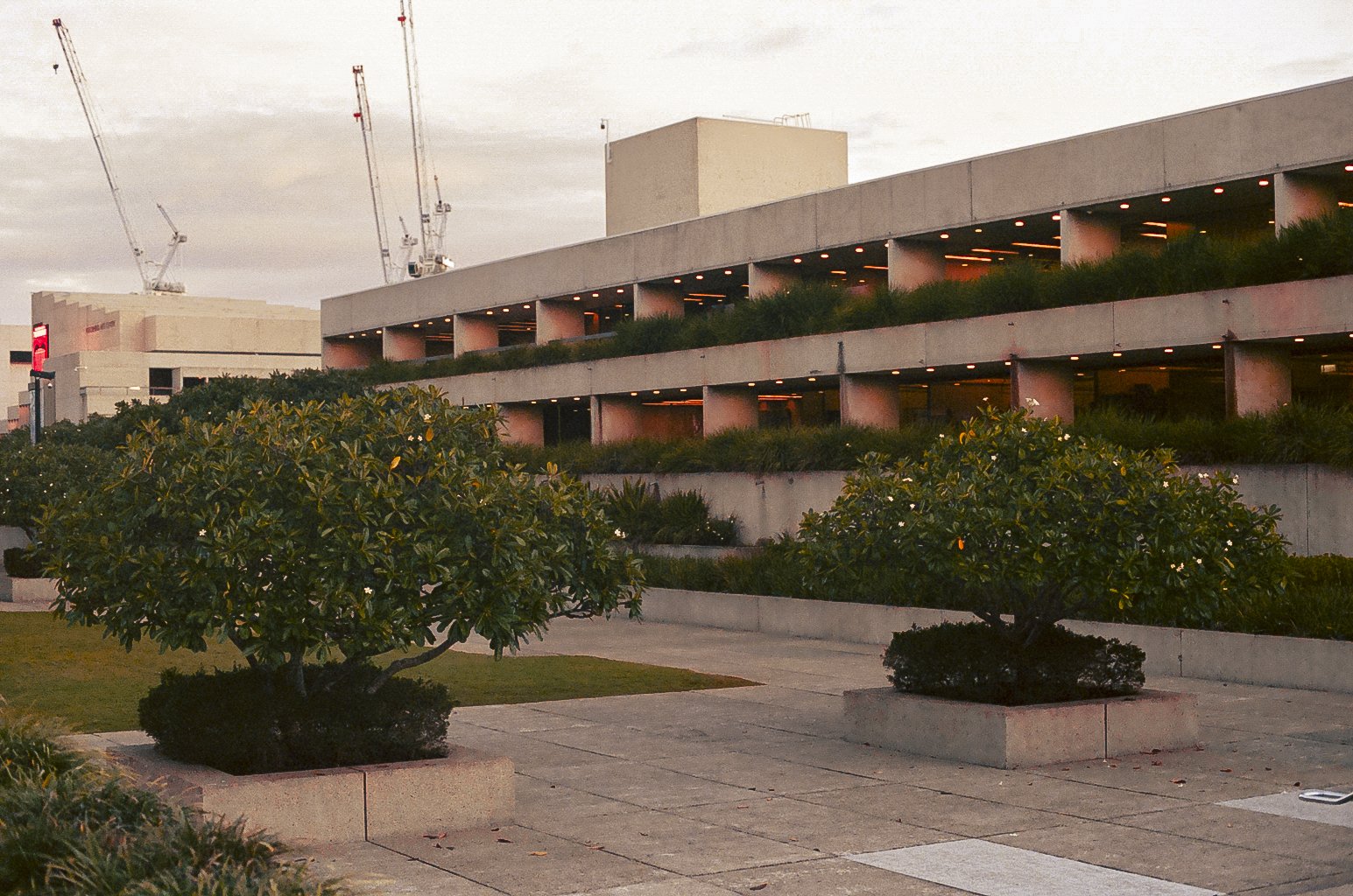 Brisbane + Bali-6.jpg