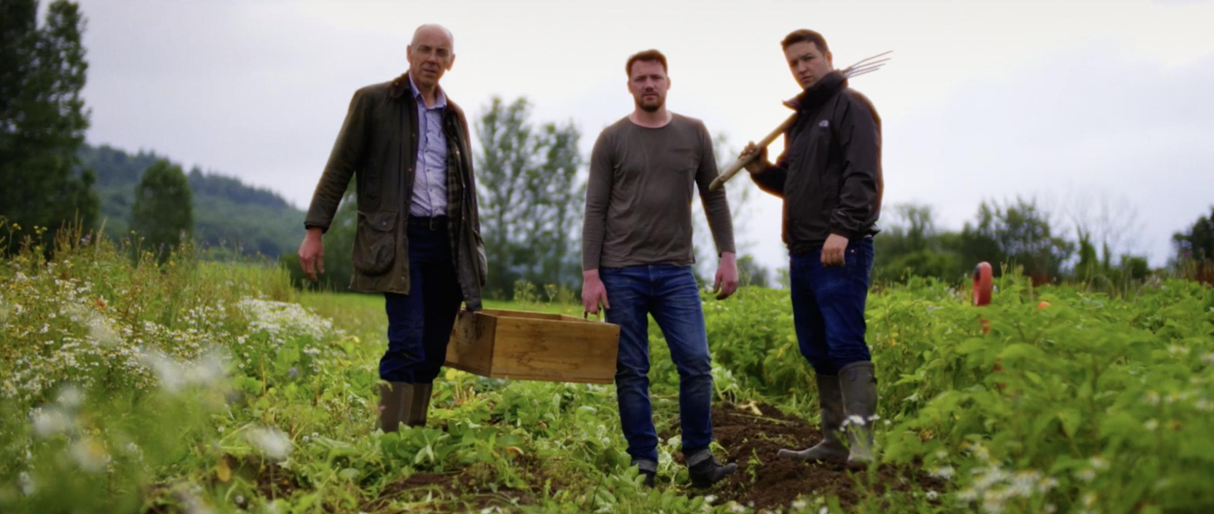 Homegrown Frames23.png