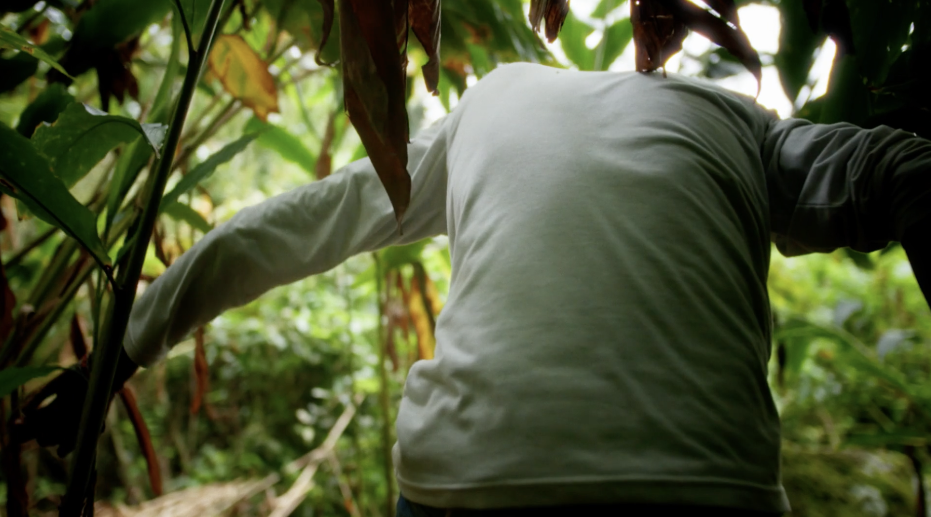 Screenshot 2026-01-08 at 20.28.34.png