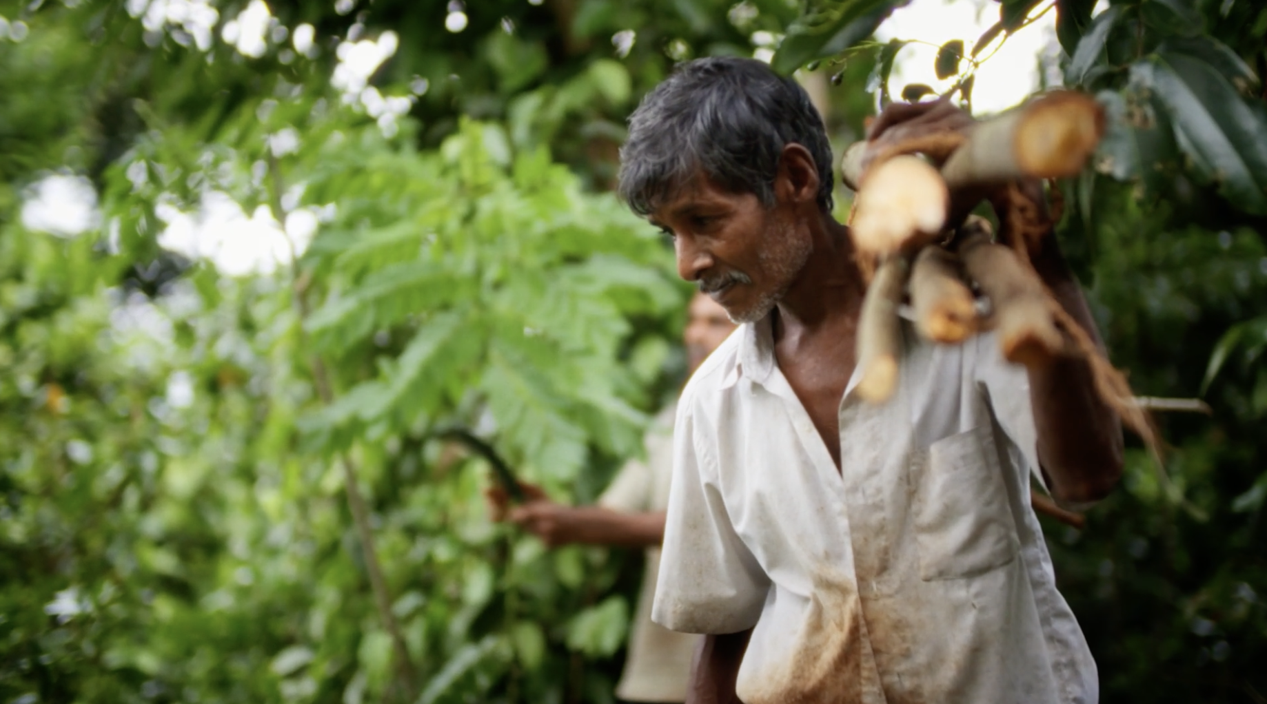 Screenshot 2026-01-08 at 20.29.05.png