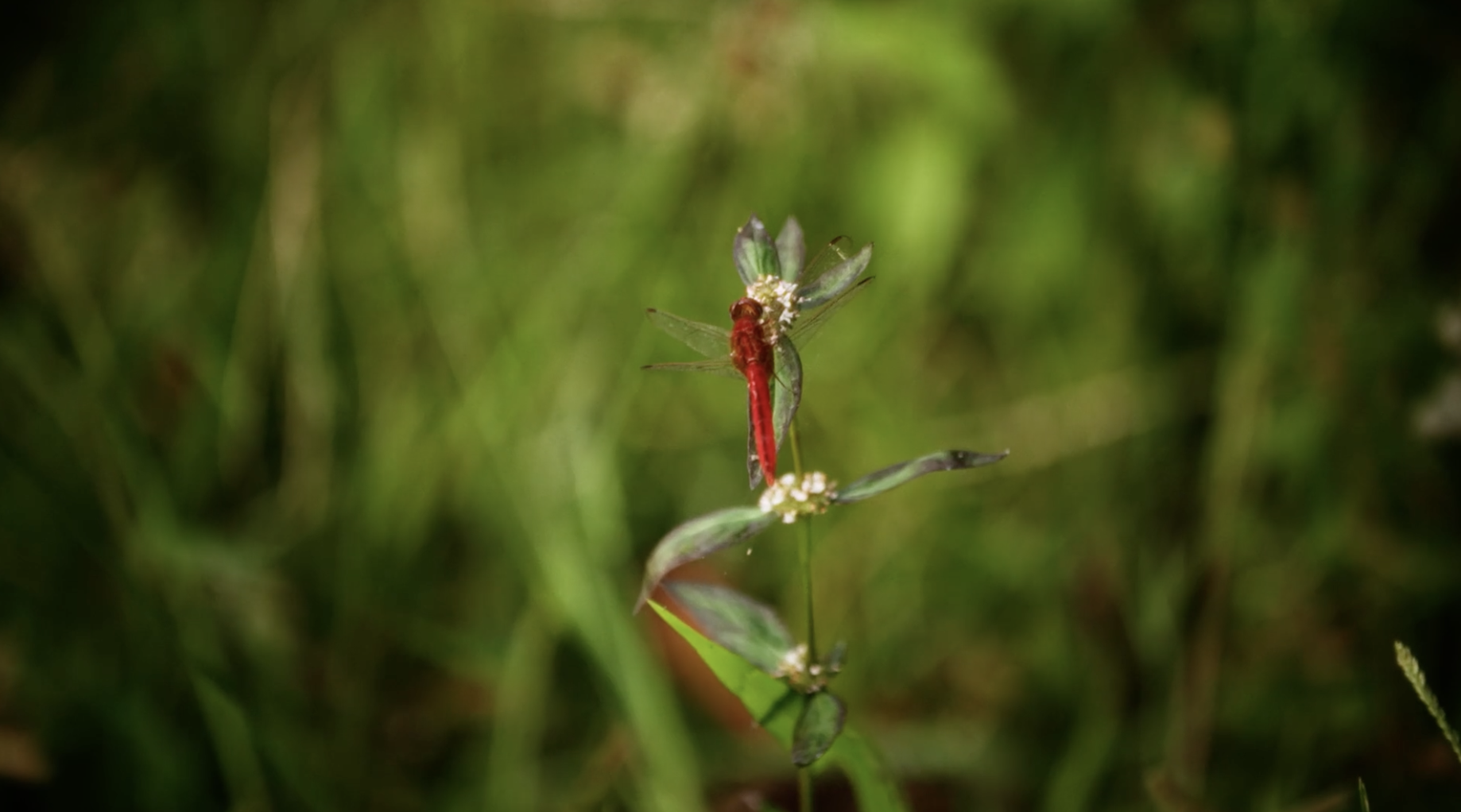 Screenshot 2026-01-08 at 20.27.34.png