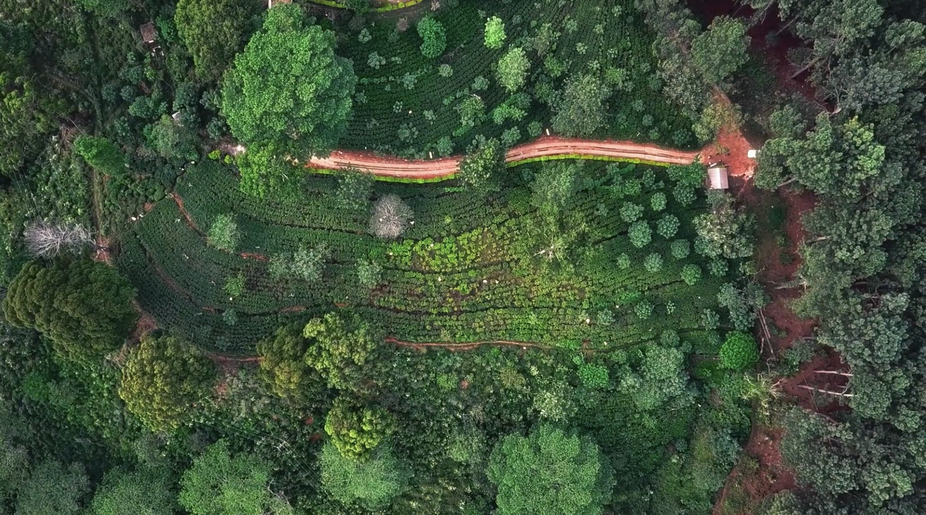 Screenshot 2026-01-08 at 20.29.27.png