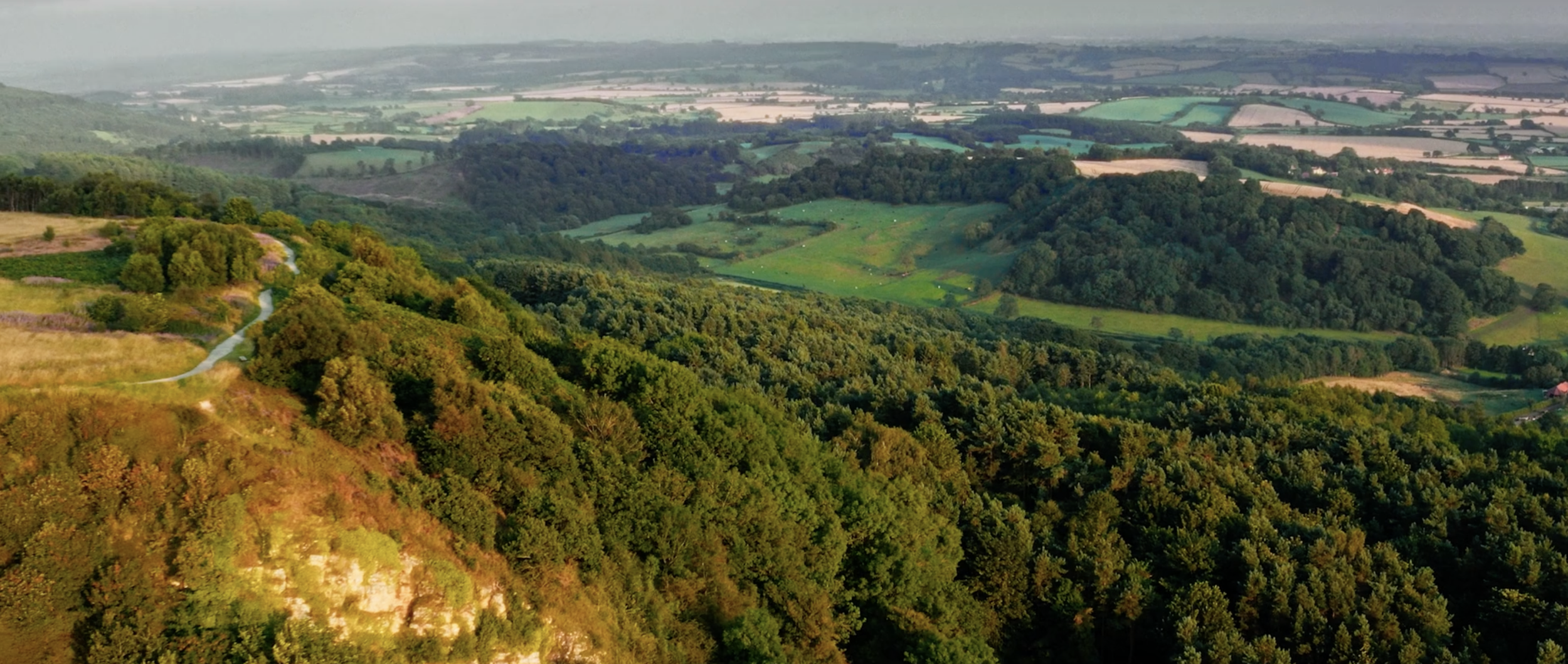 Homegrown Frames44.png