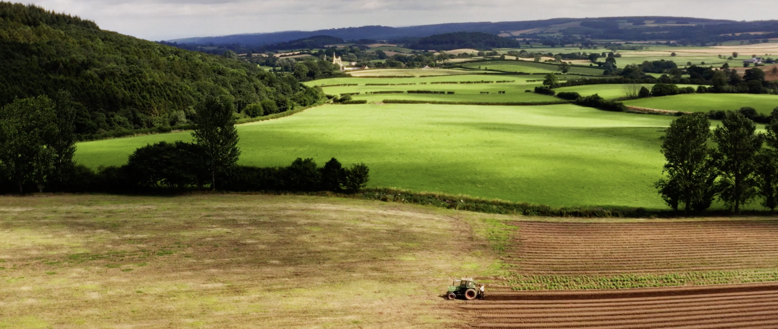 Homegrown Frames18.png