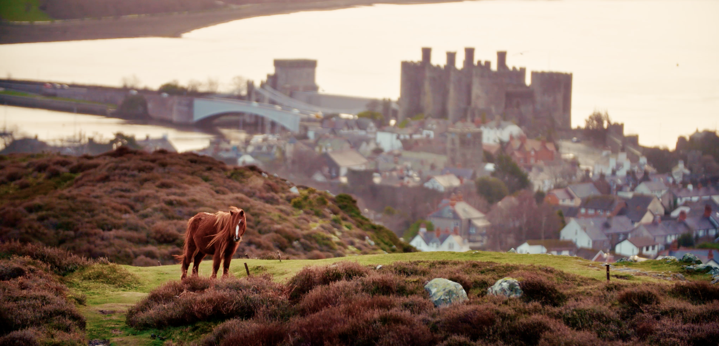 Screenshot 2025-12-28 at 15.53.27.png