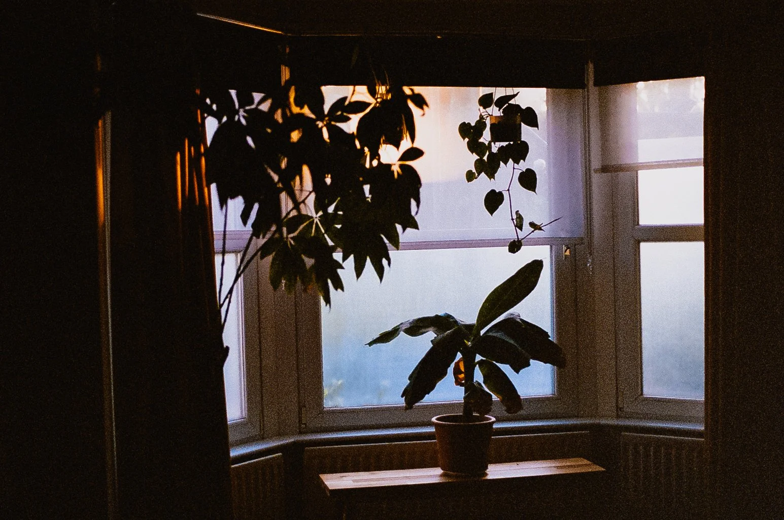 Bali + Mallorca-6.jpg