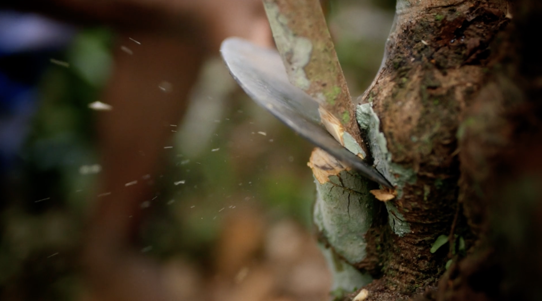 Screenshot 2026-01-08 at 20.28.17.png