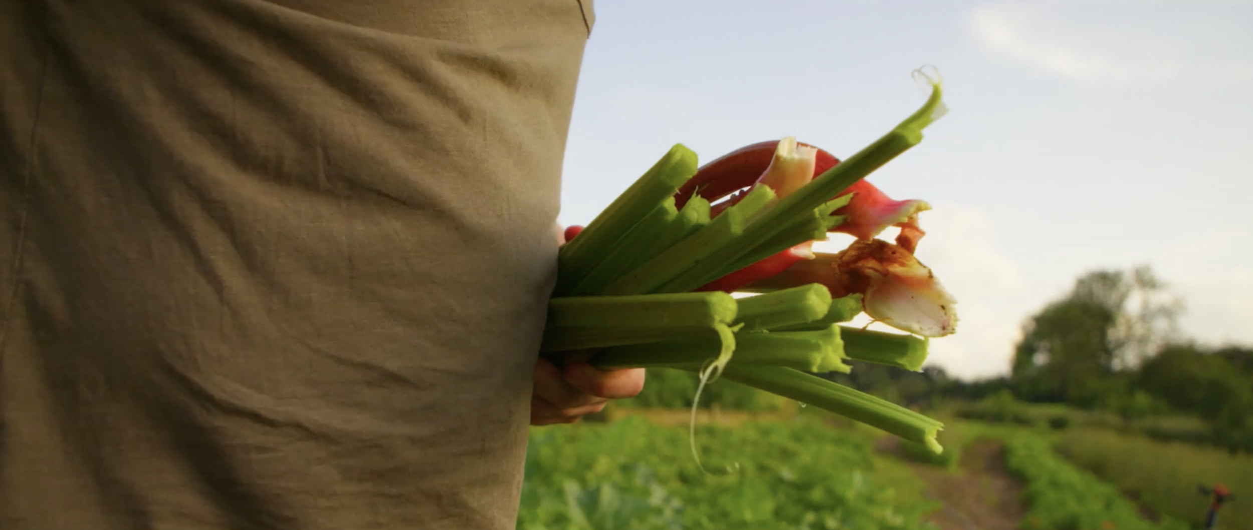 Homegrown Frames6.png