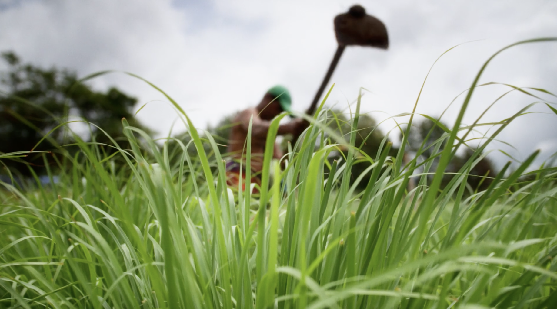 Screenshot 2026-01-08 at 20.27.50.png