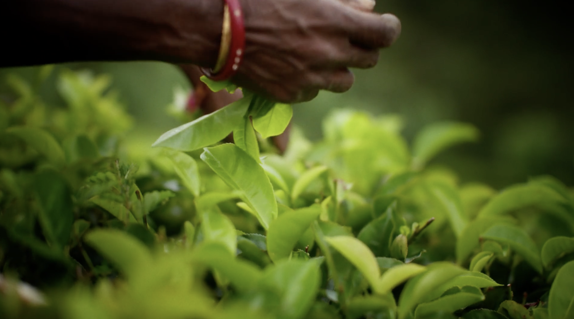 Screenshot 2026-01-08 at 20.40.17.png