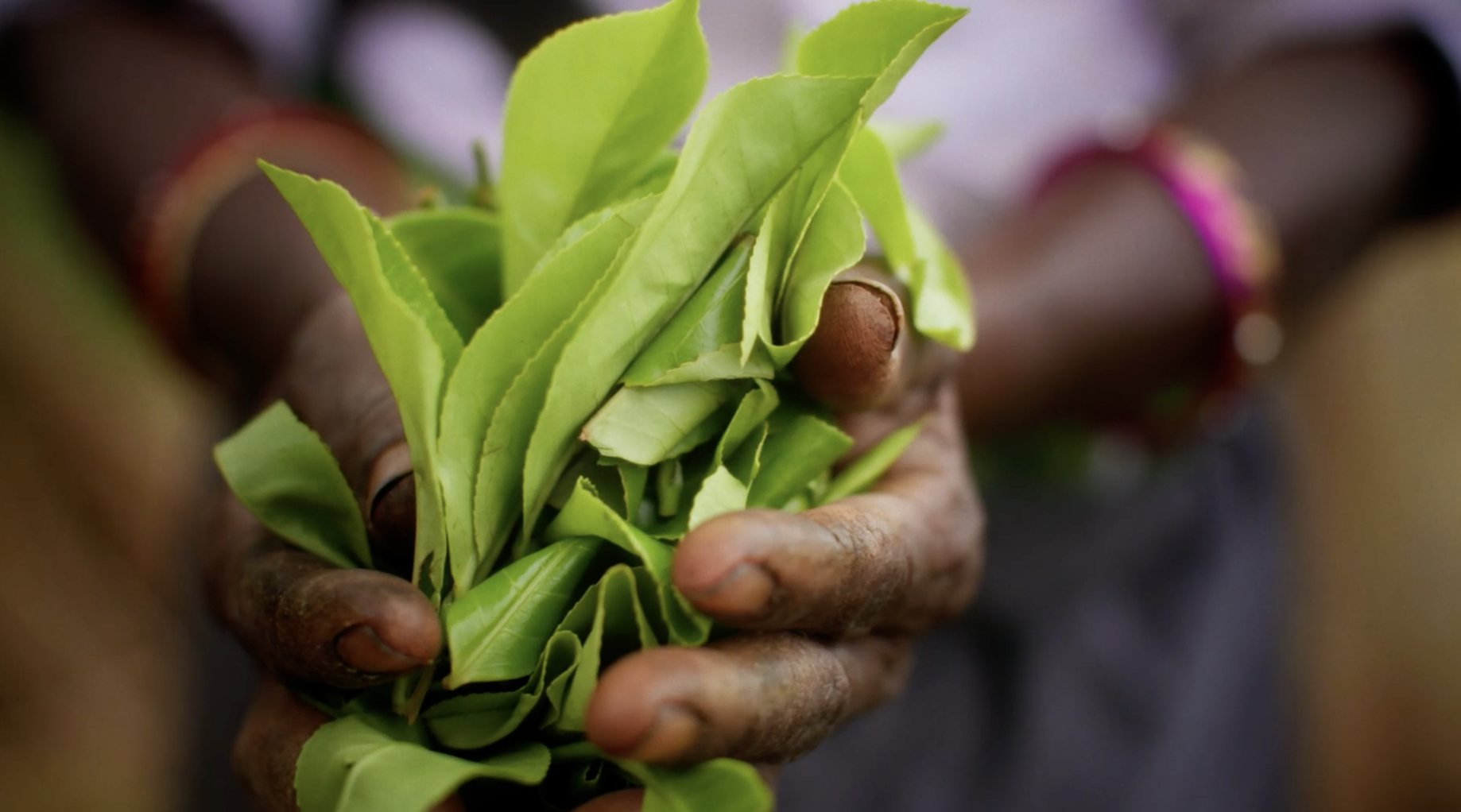 Screenshot 2026-01-08 at 20.27.59.png