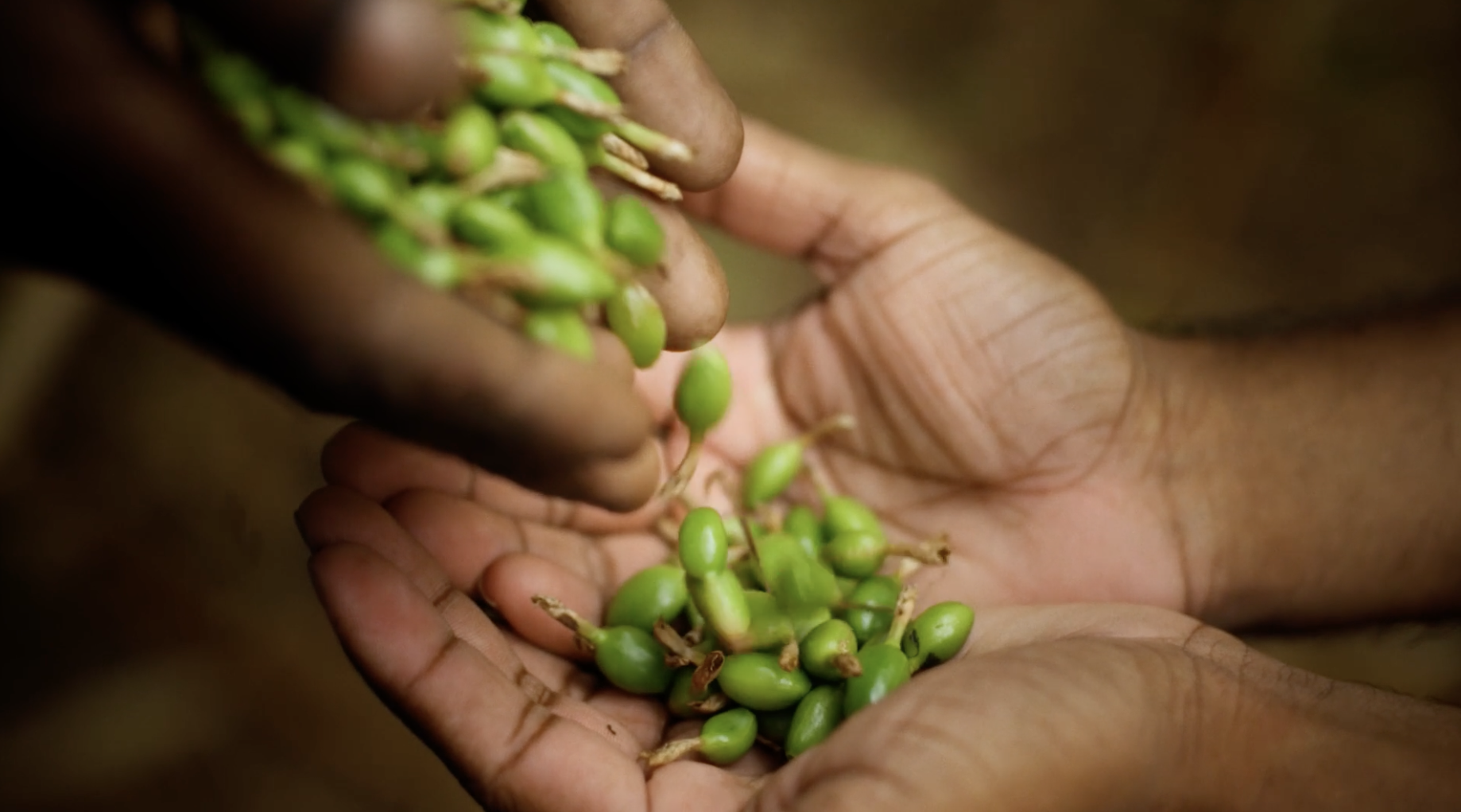 Screenshot 2026-01-08 at 20.28.47.png